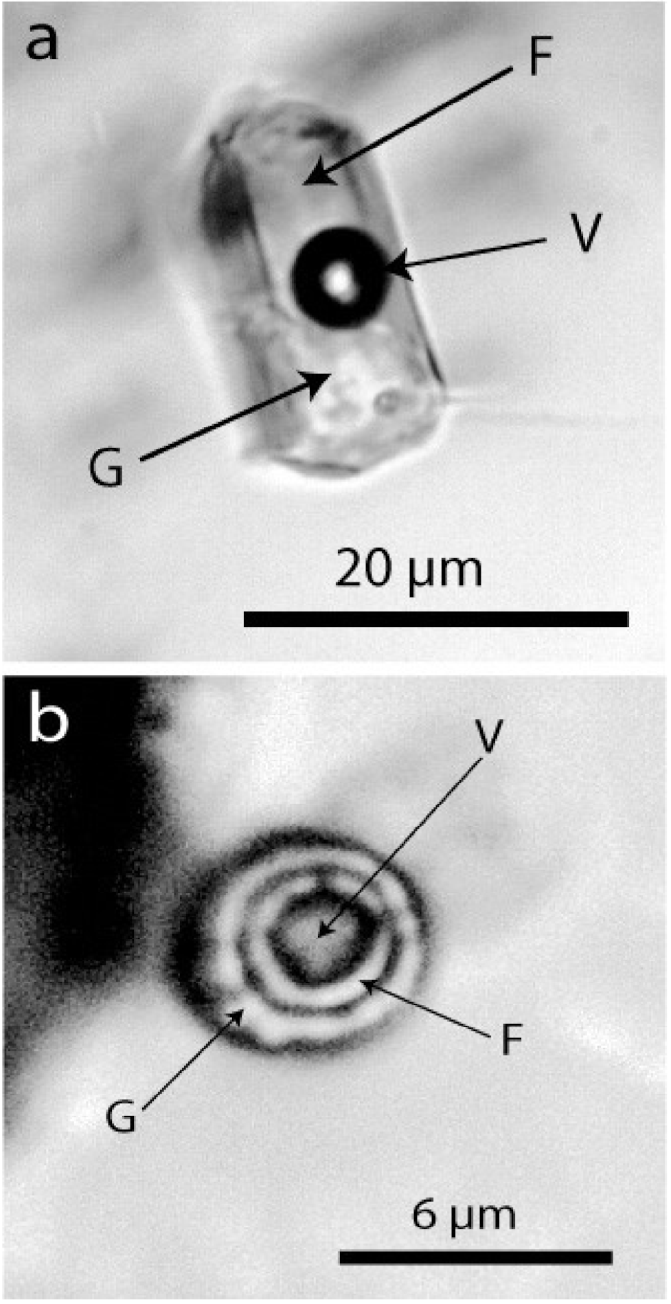 Geosciences 12 00196 g009