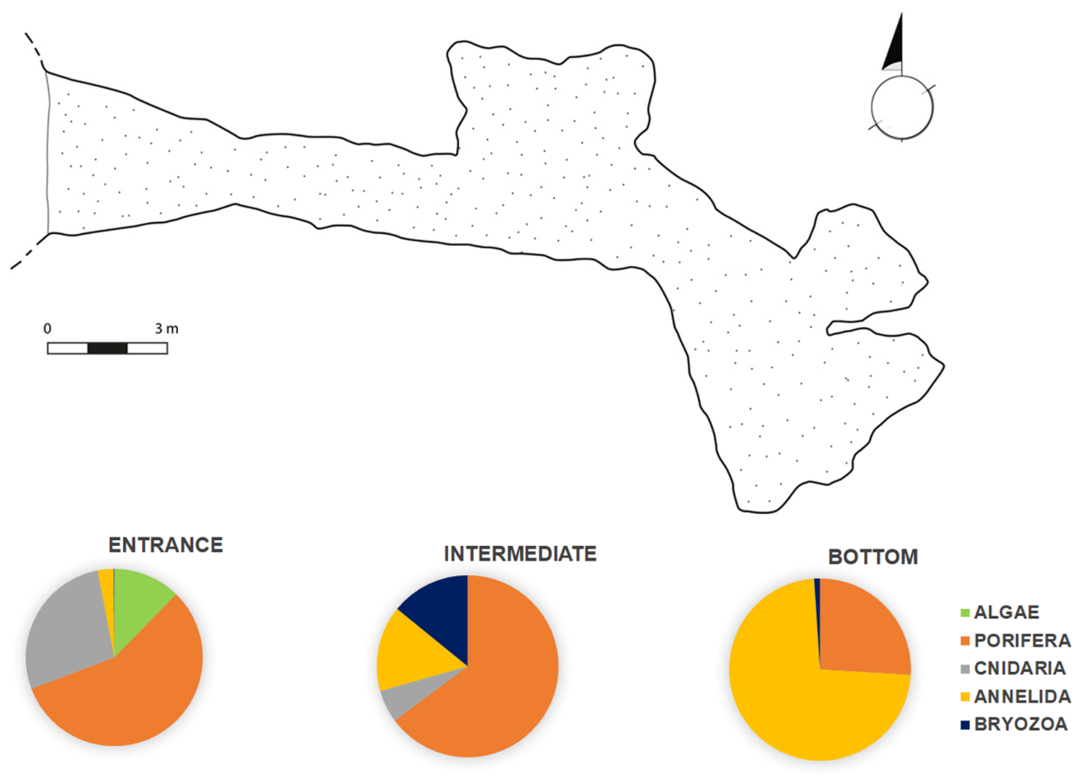 Geosciences 12 00213 g004
