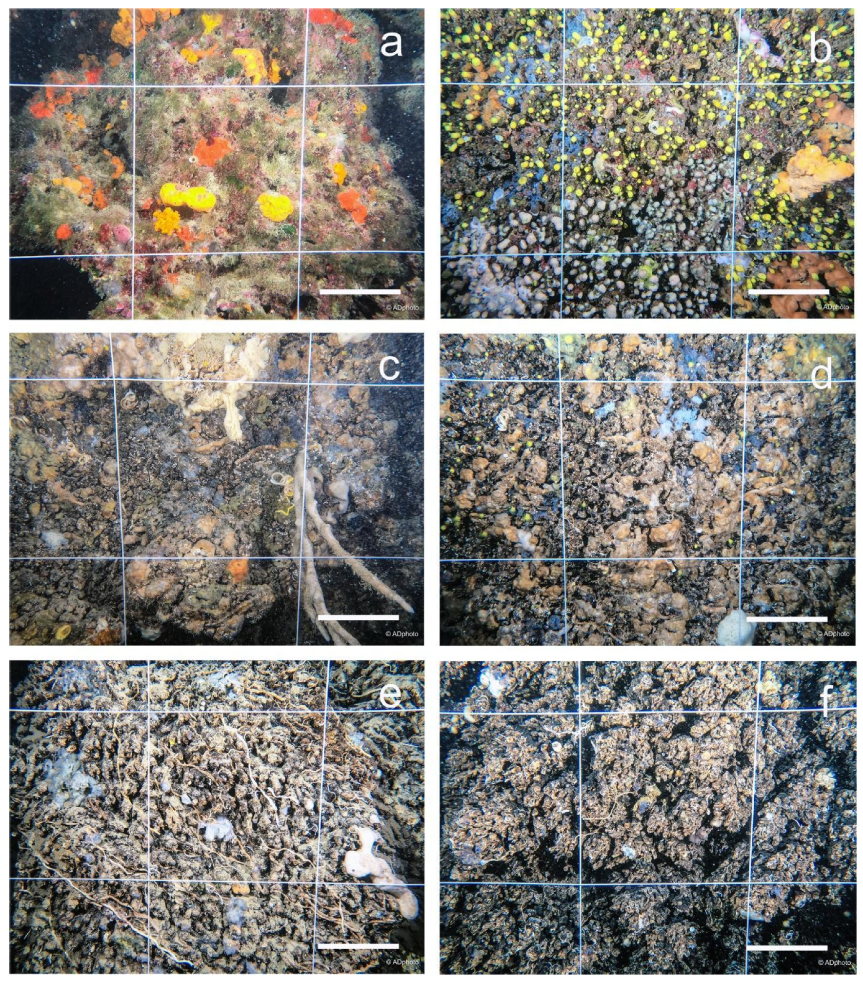 Geosciences 12 00213 g006