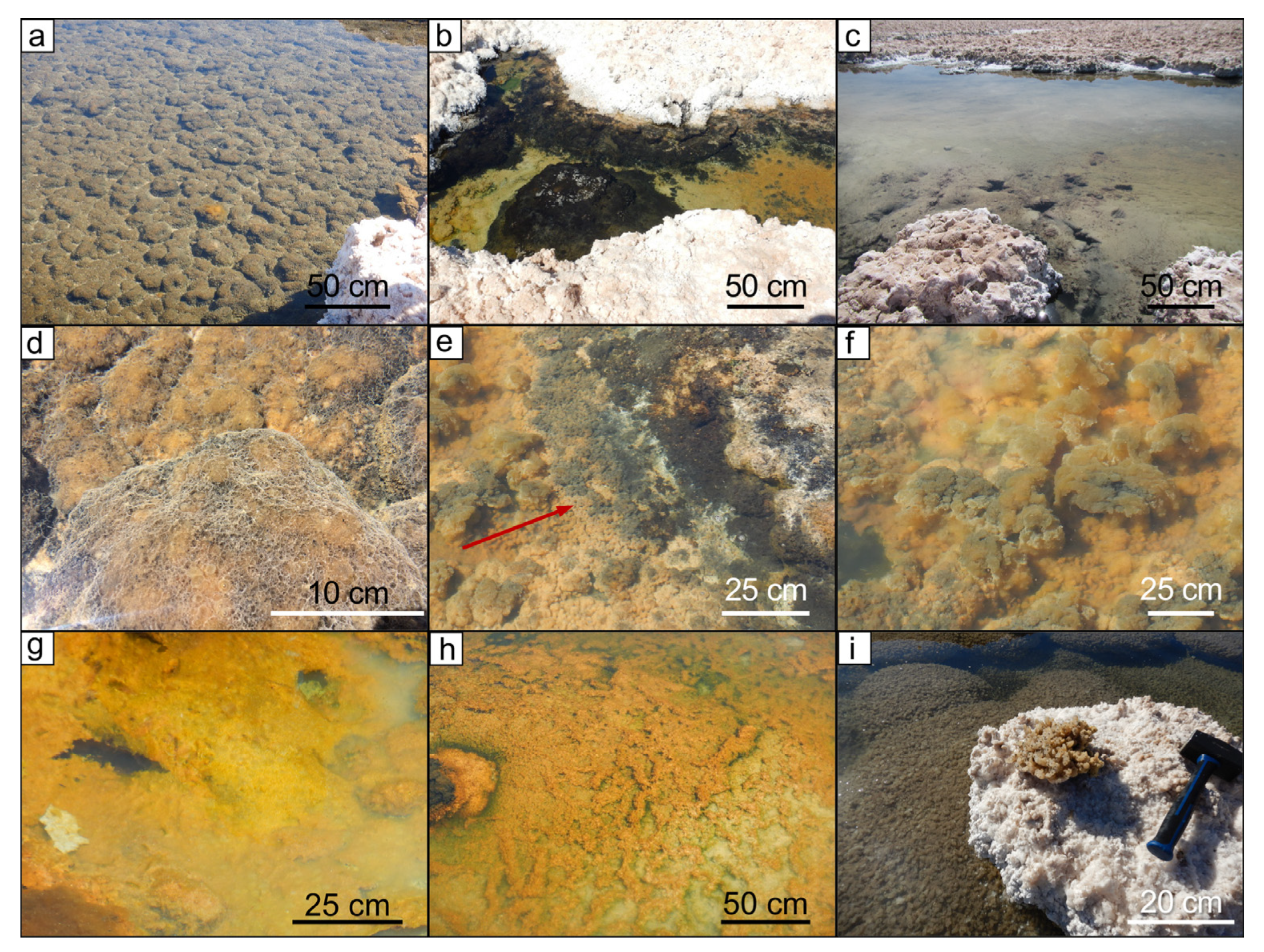 Geosciences 12 00247 g002
