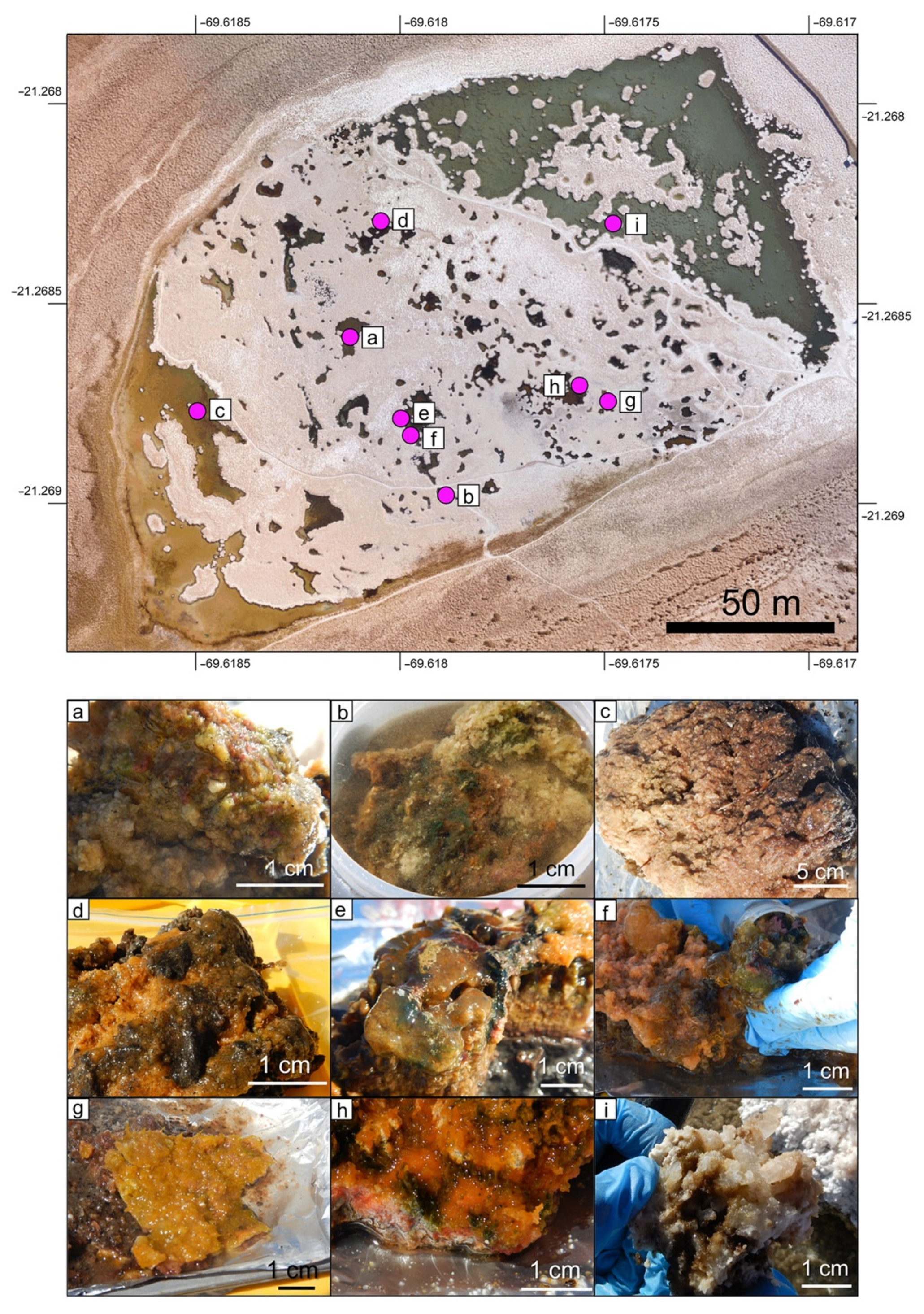 Geosciences 12 00247 g004