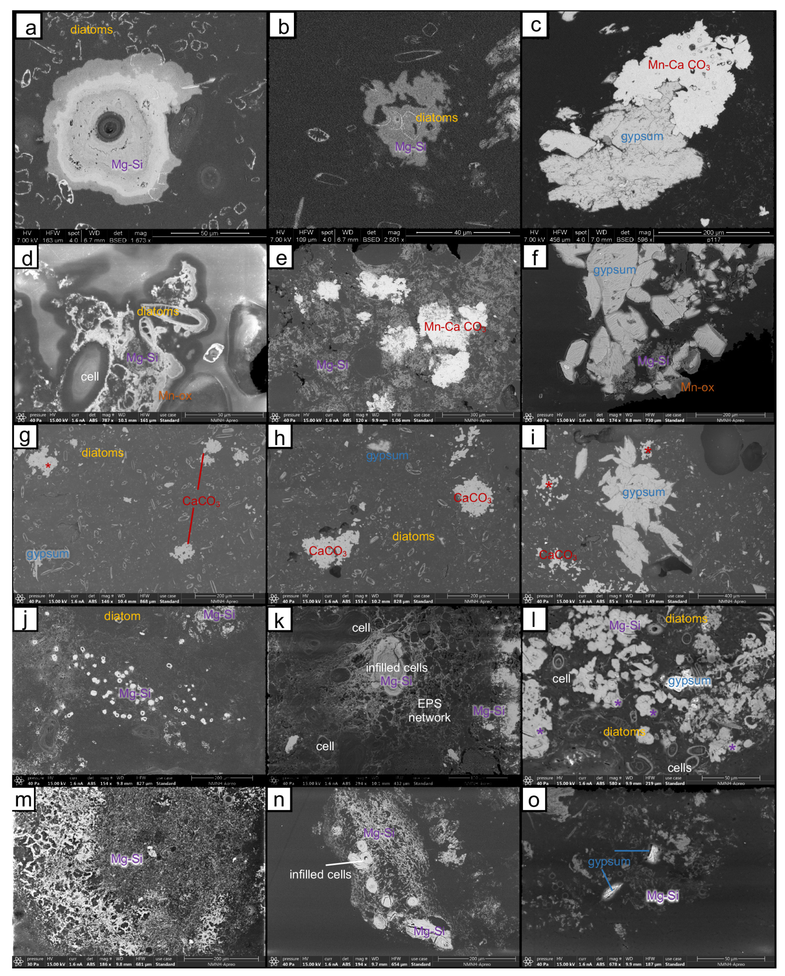 Geosciences 12 00247 g005
