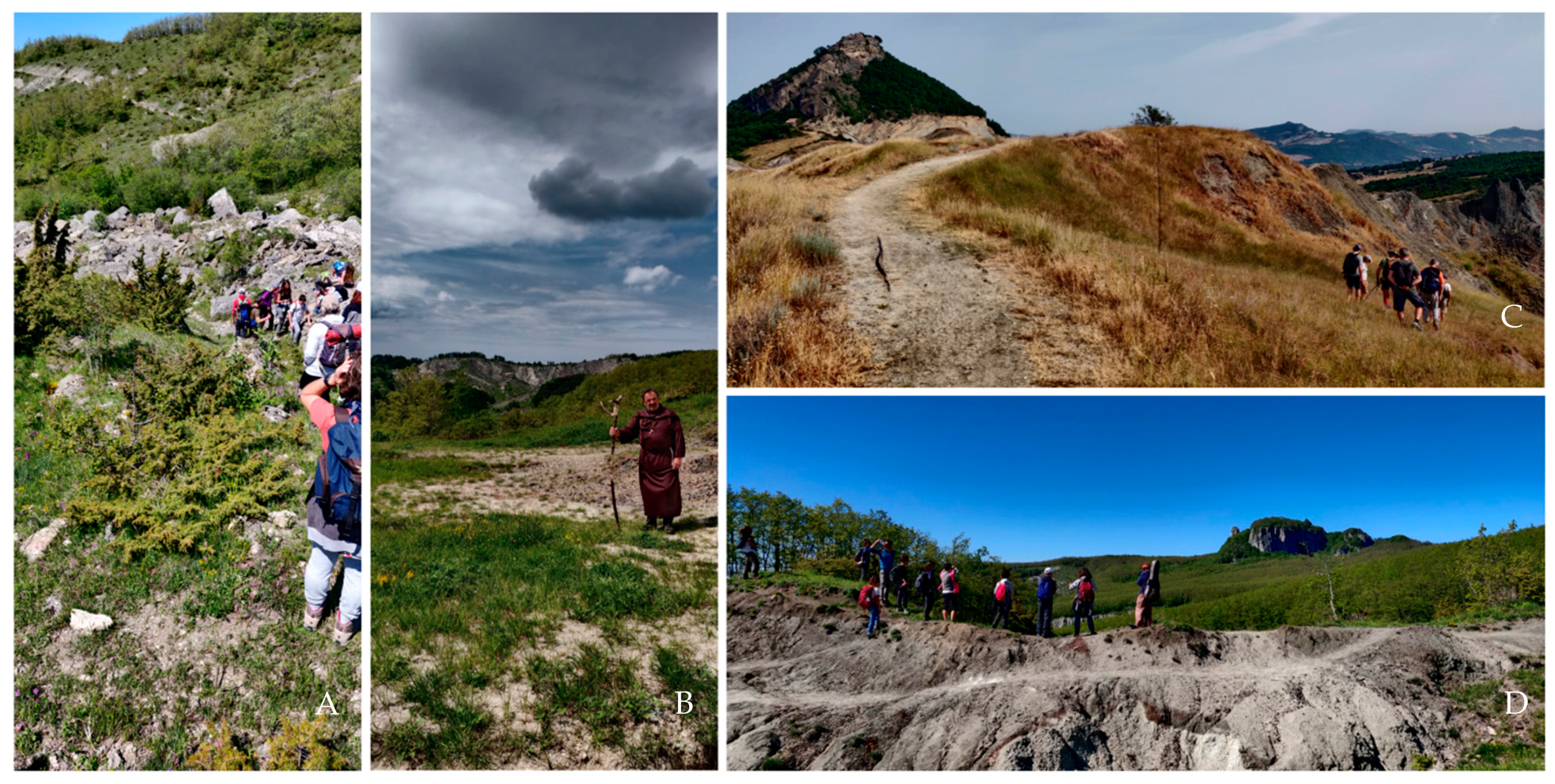 Geosciences 12 00264 g009