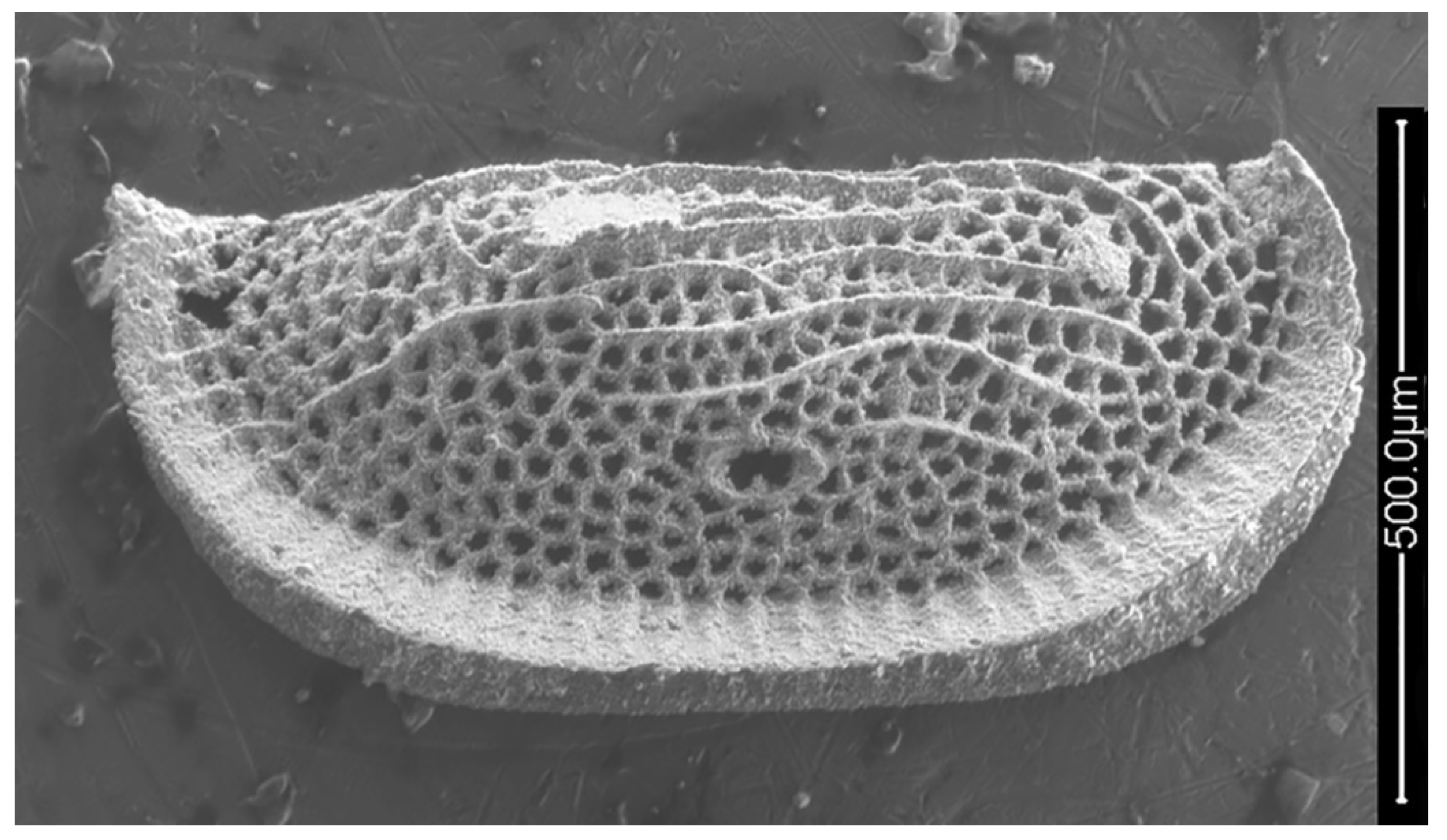 Geosciences 12 00300 g002