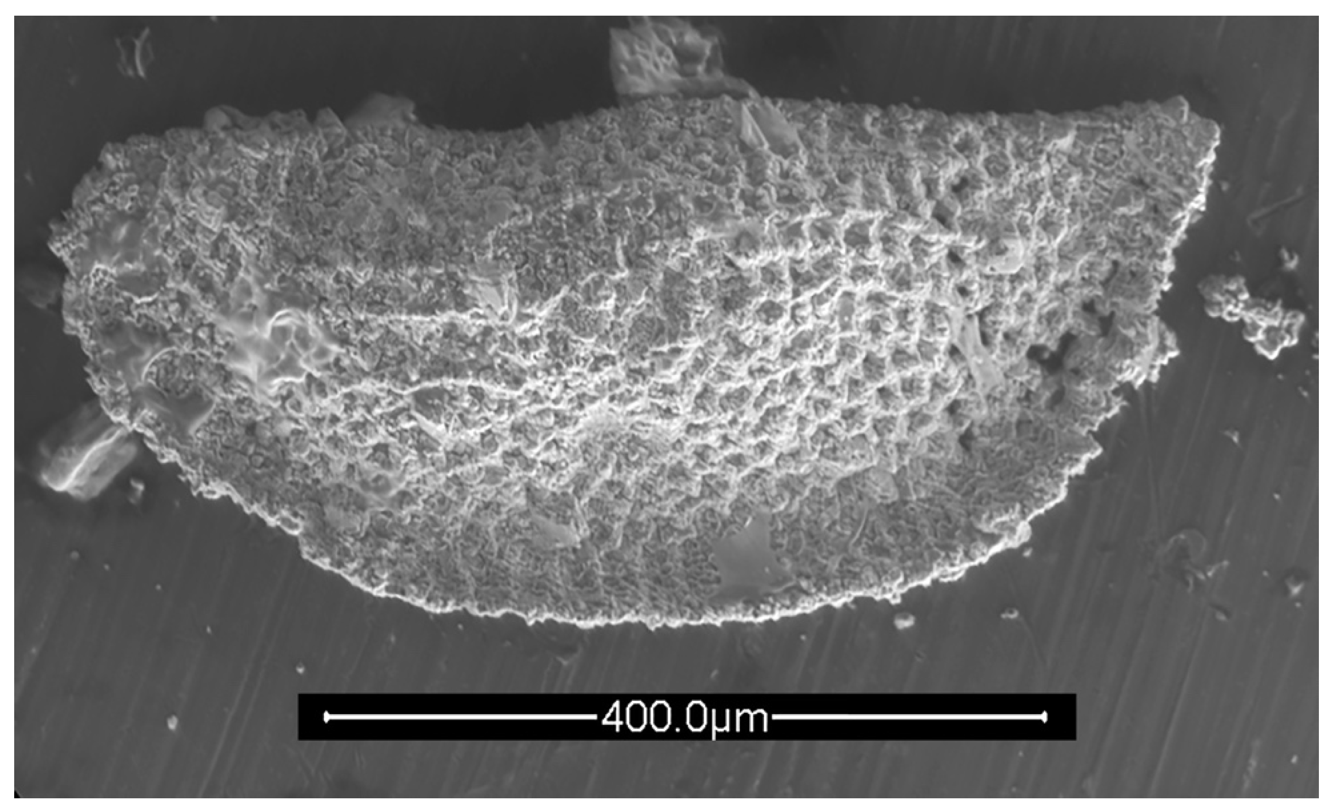 Geosciences 12 00300 g004
