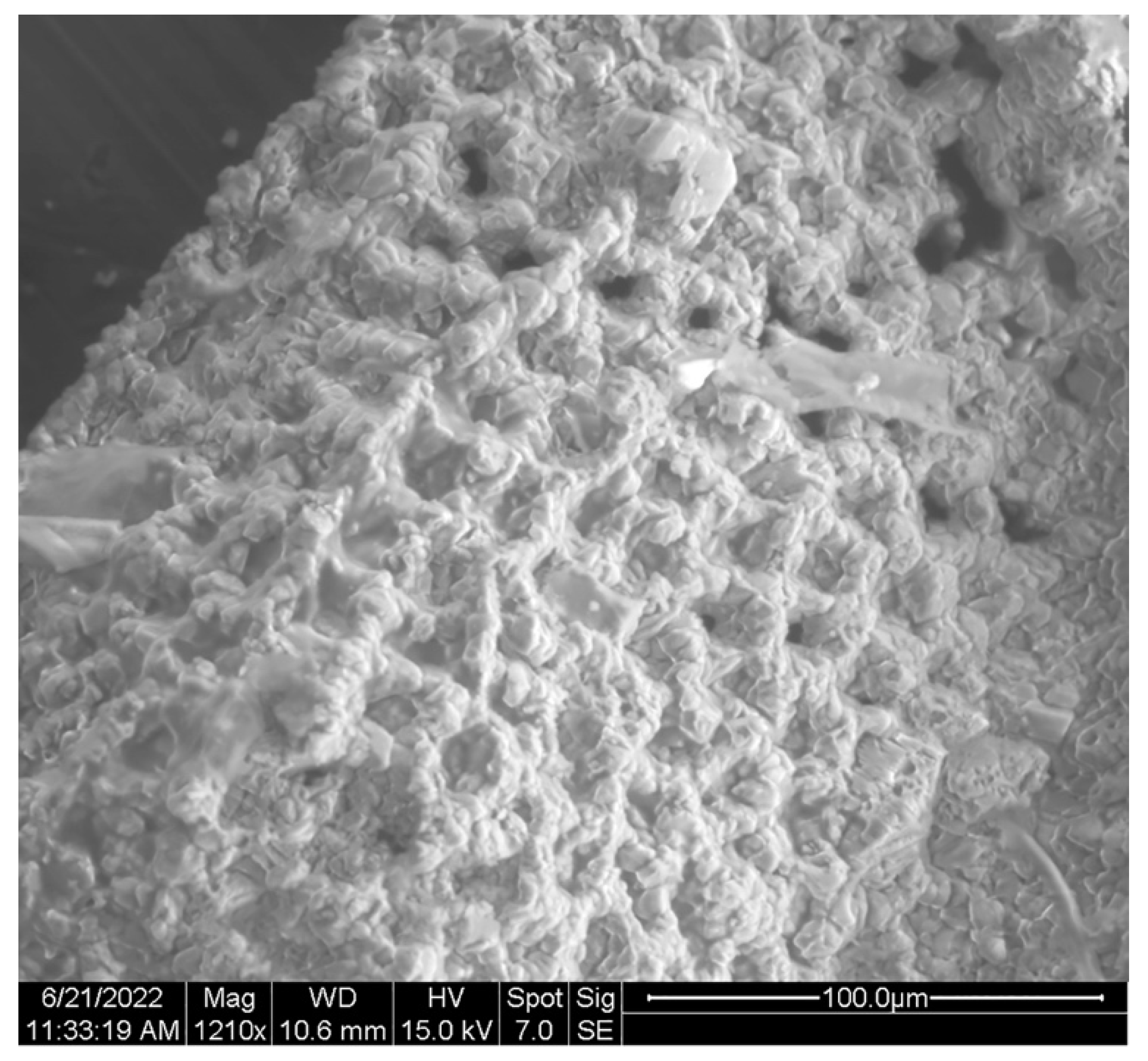 Geosciences 12 00300 g005