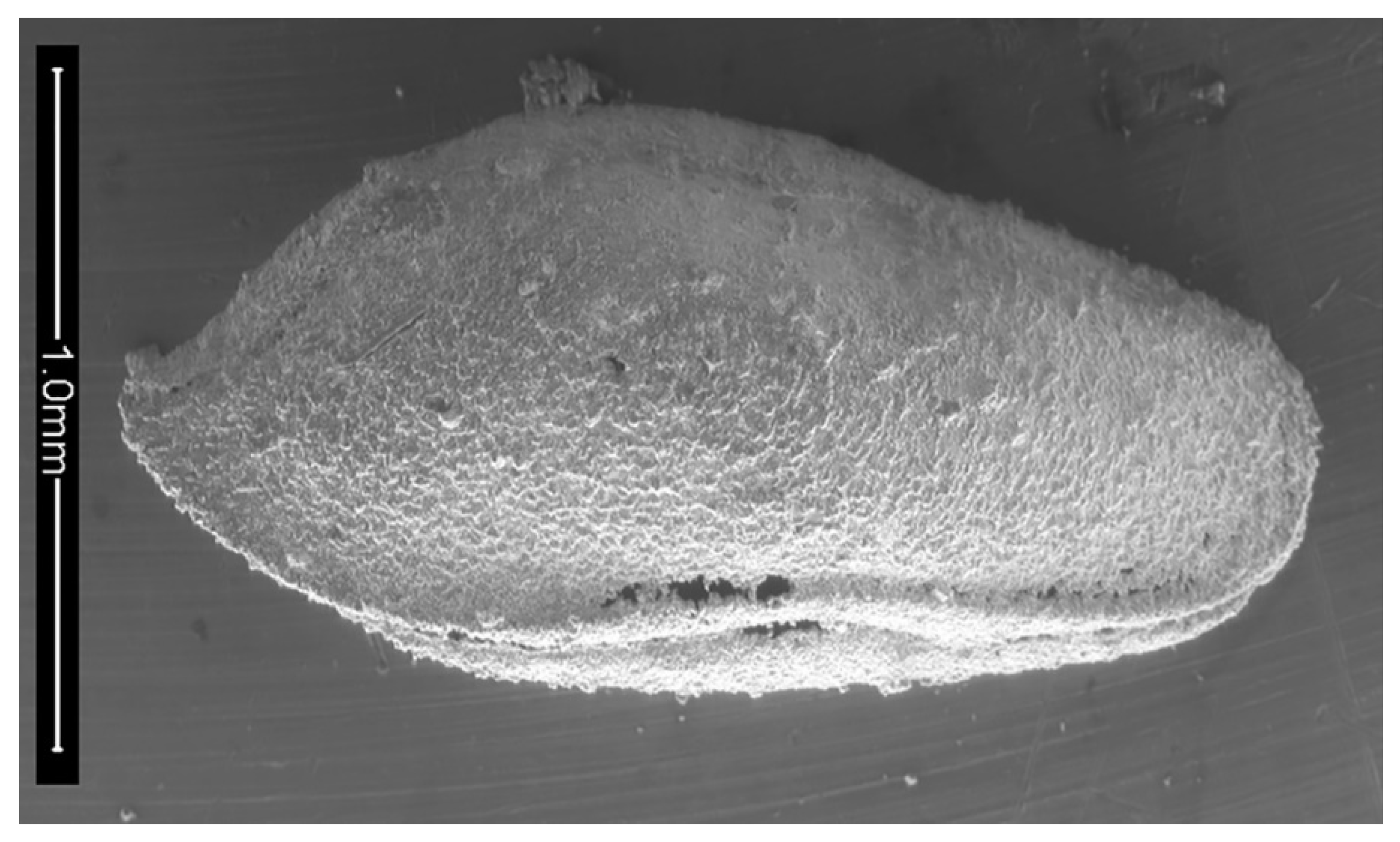 Geosciences 12 00300 g006