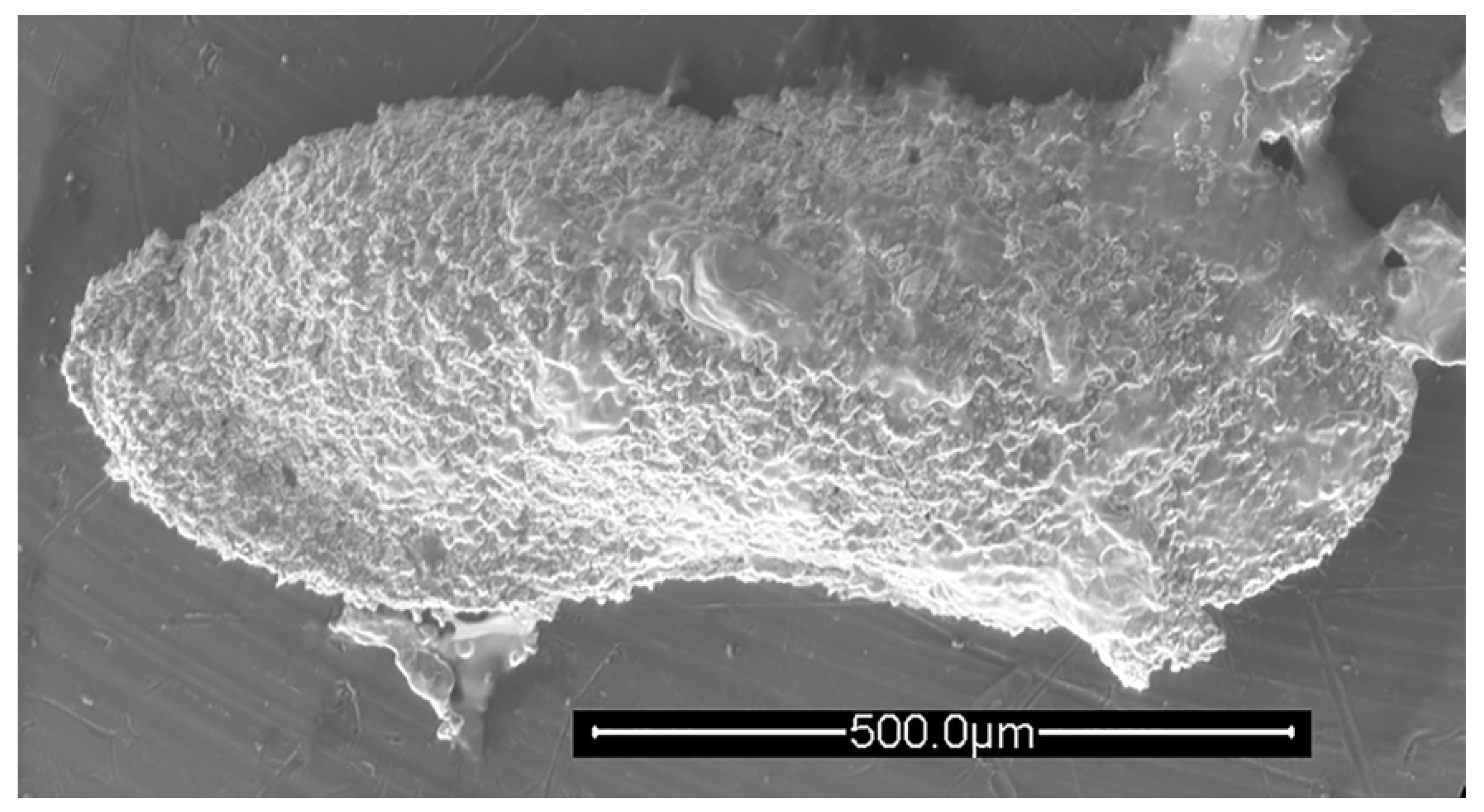 Geosciences 12 00300 g007