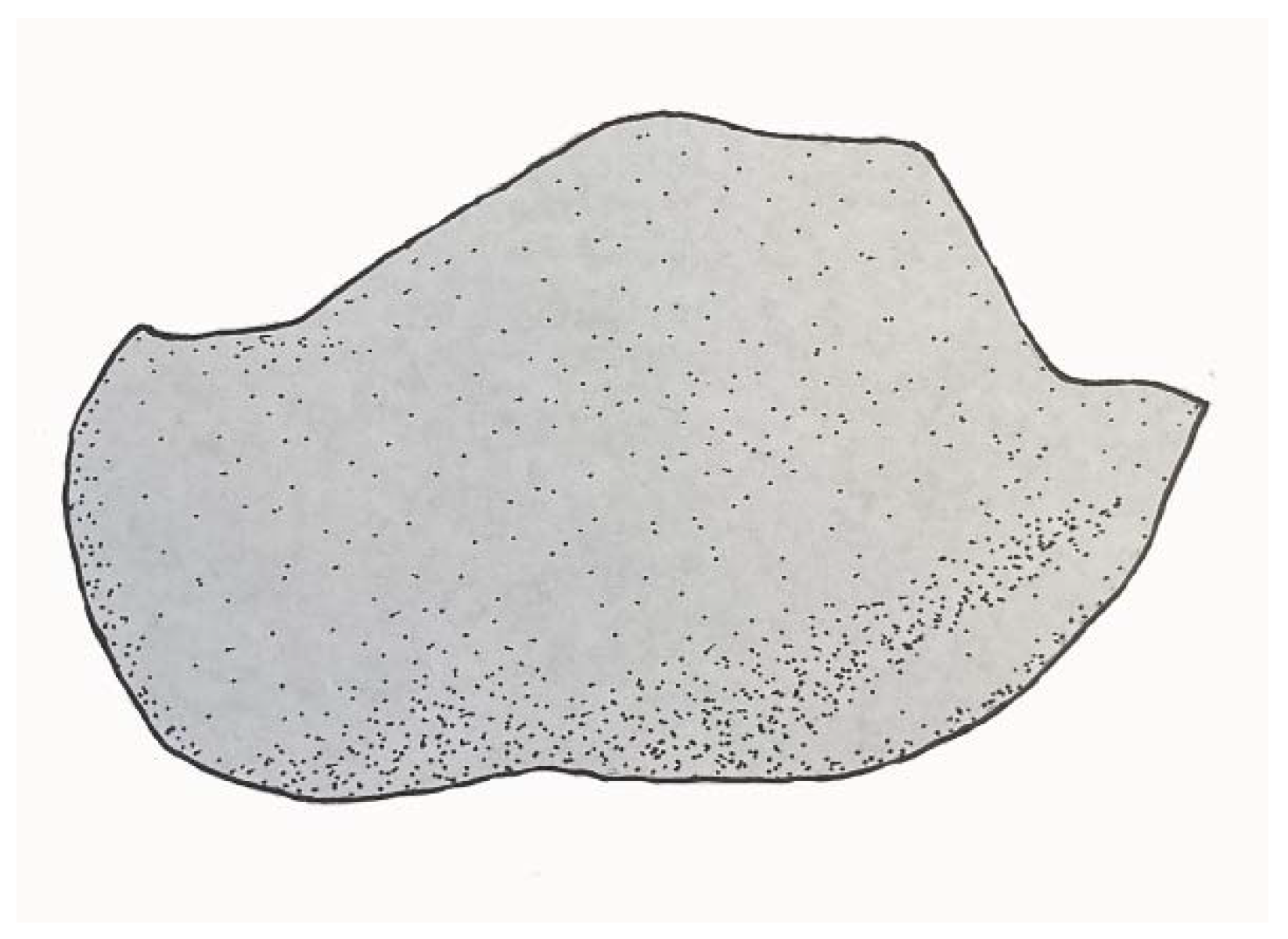 Geosciences 12 00300 g009