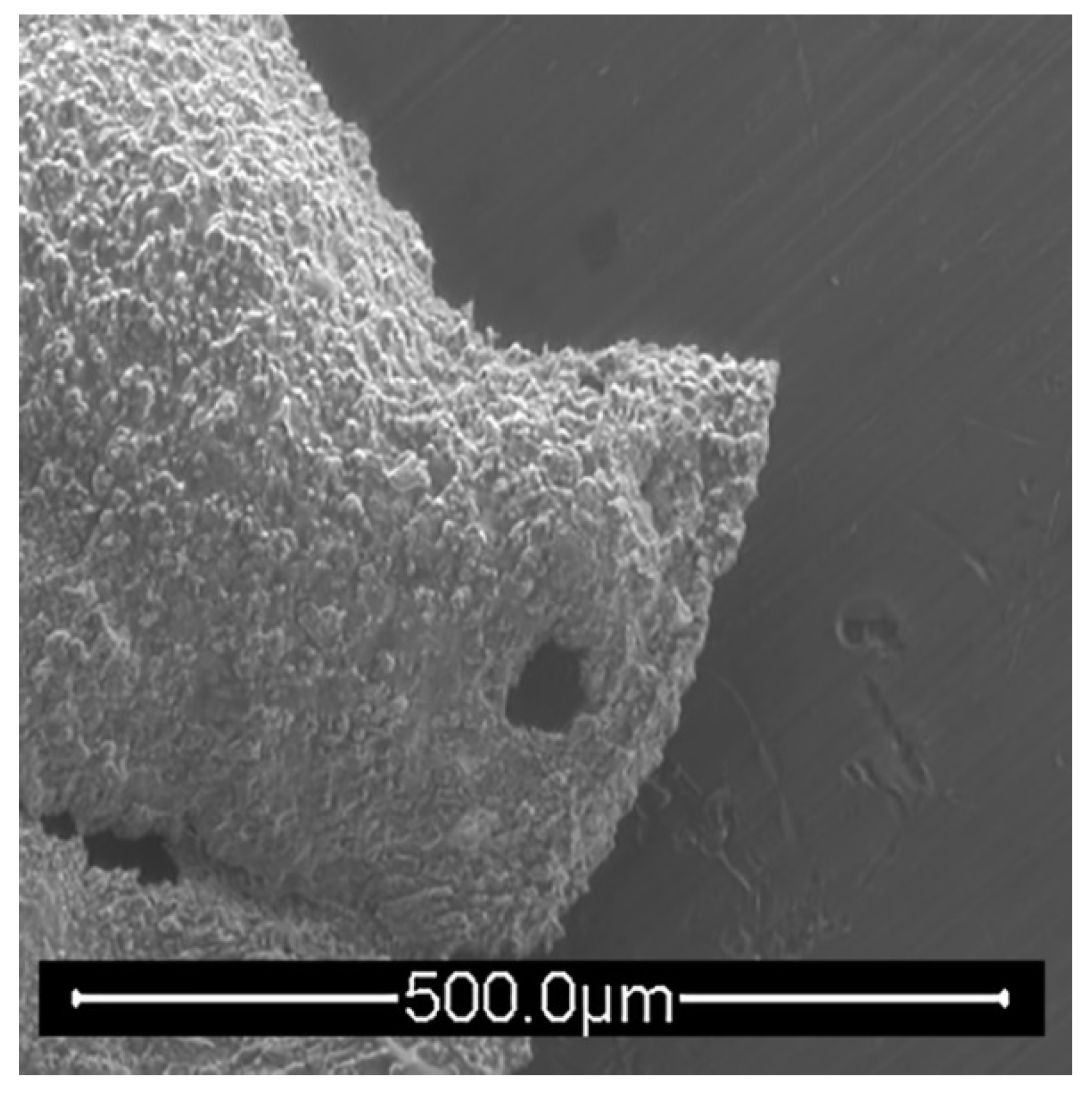 Geosciences 12 00300 g010