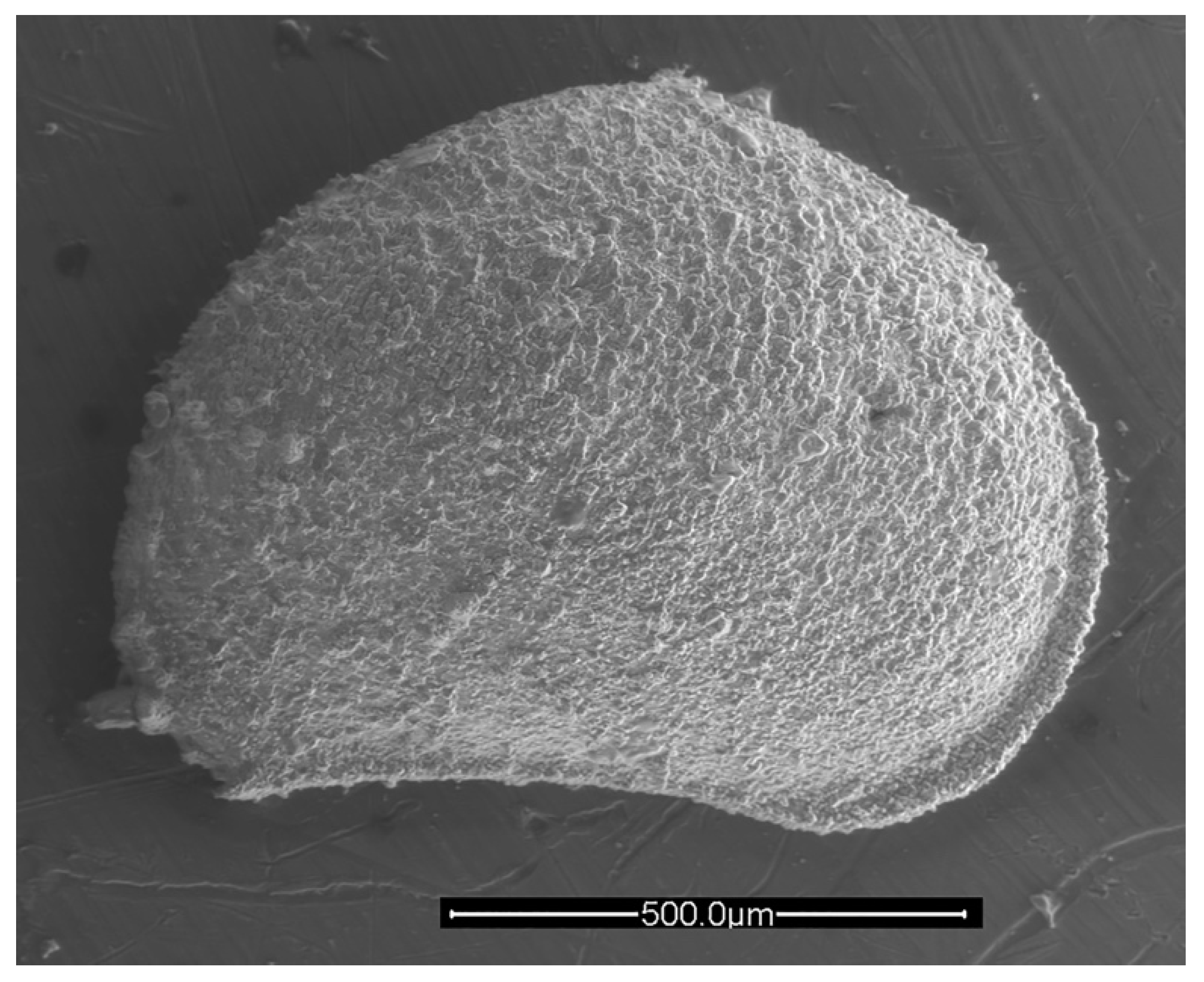Geosciences 12 00300 g011