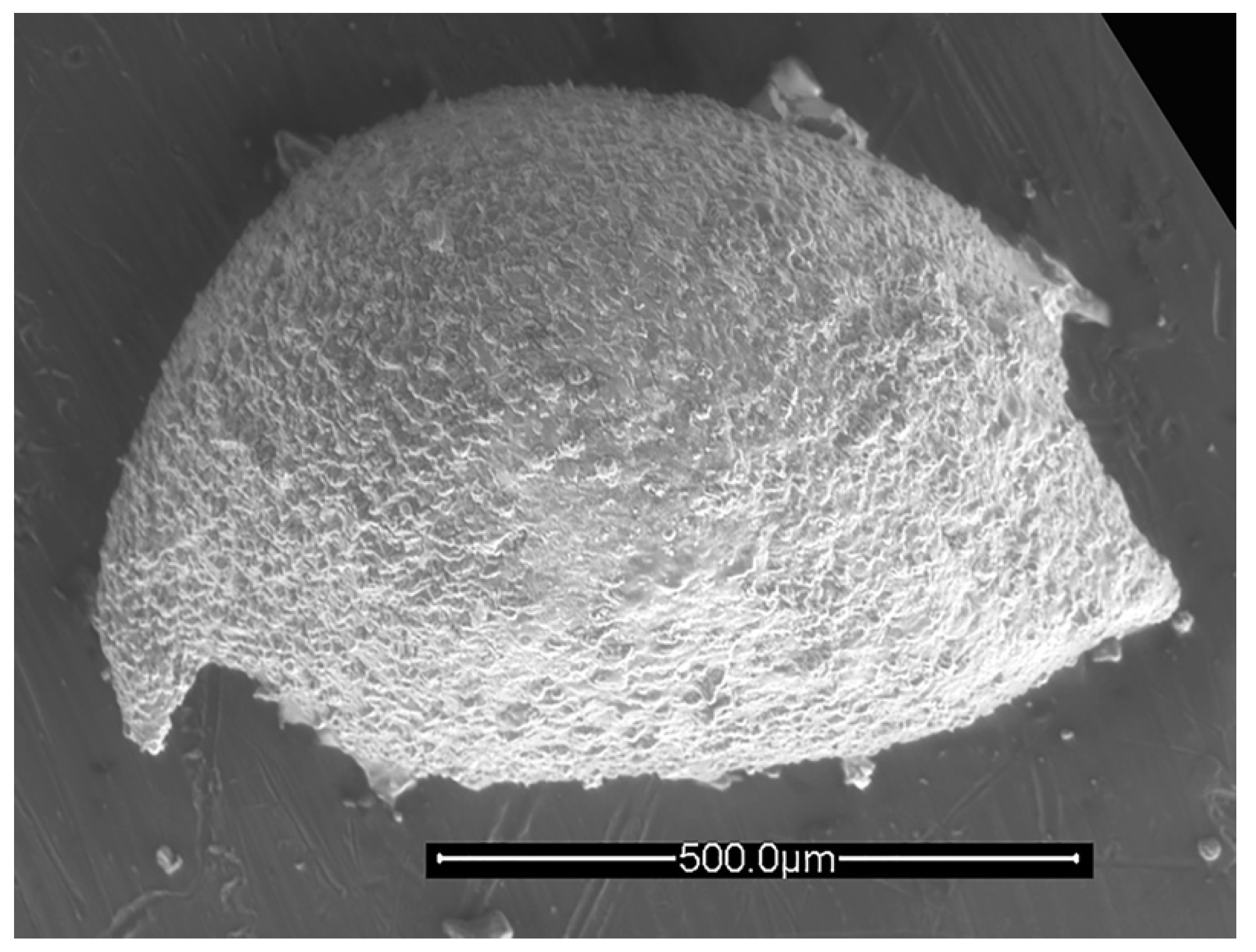Geosciences 12 00300 g012