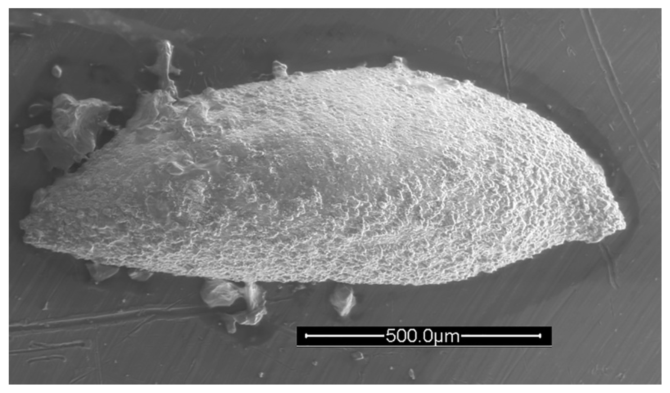Geosciences 12 00300 g013