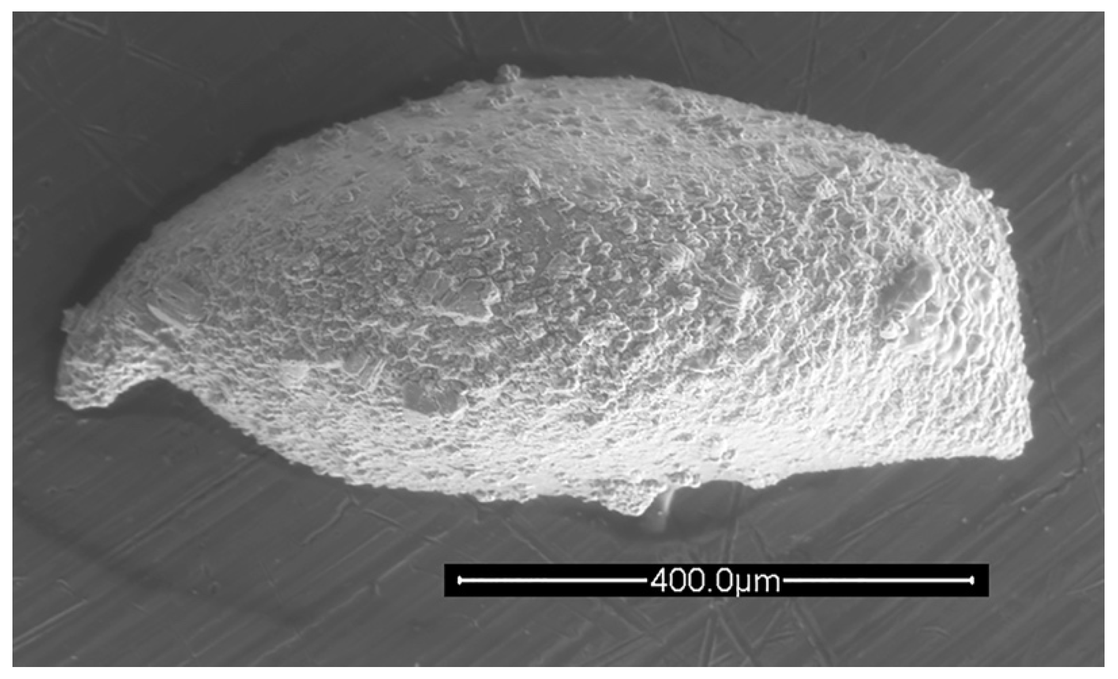 Geosciences 12 00300 g014