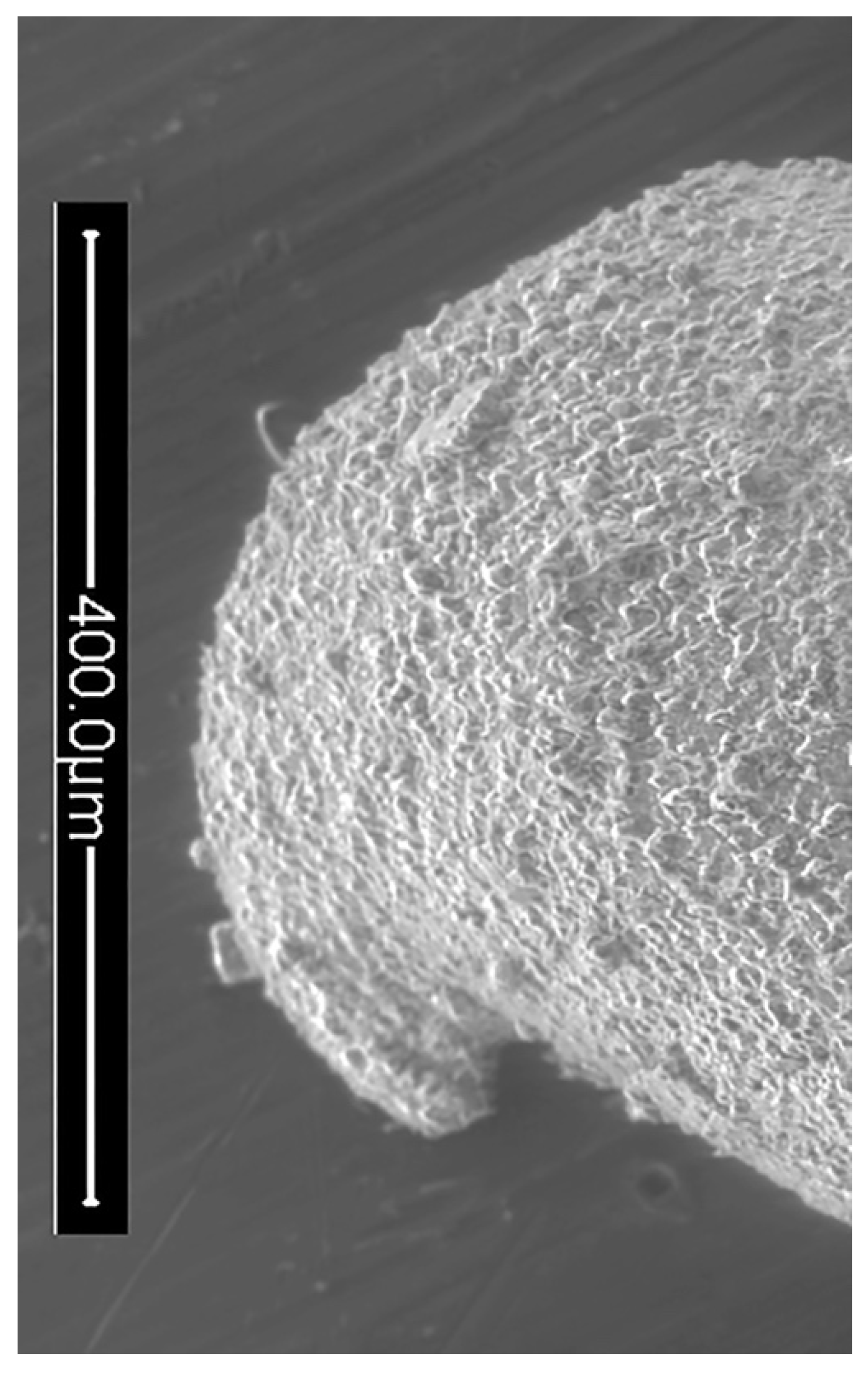 Geosciences 12 00300 g016