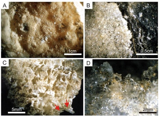 Geosciences 12 00309 g004 550