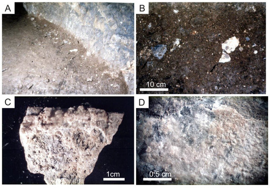 Geosciences 12 00309 g005 550