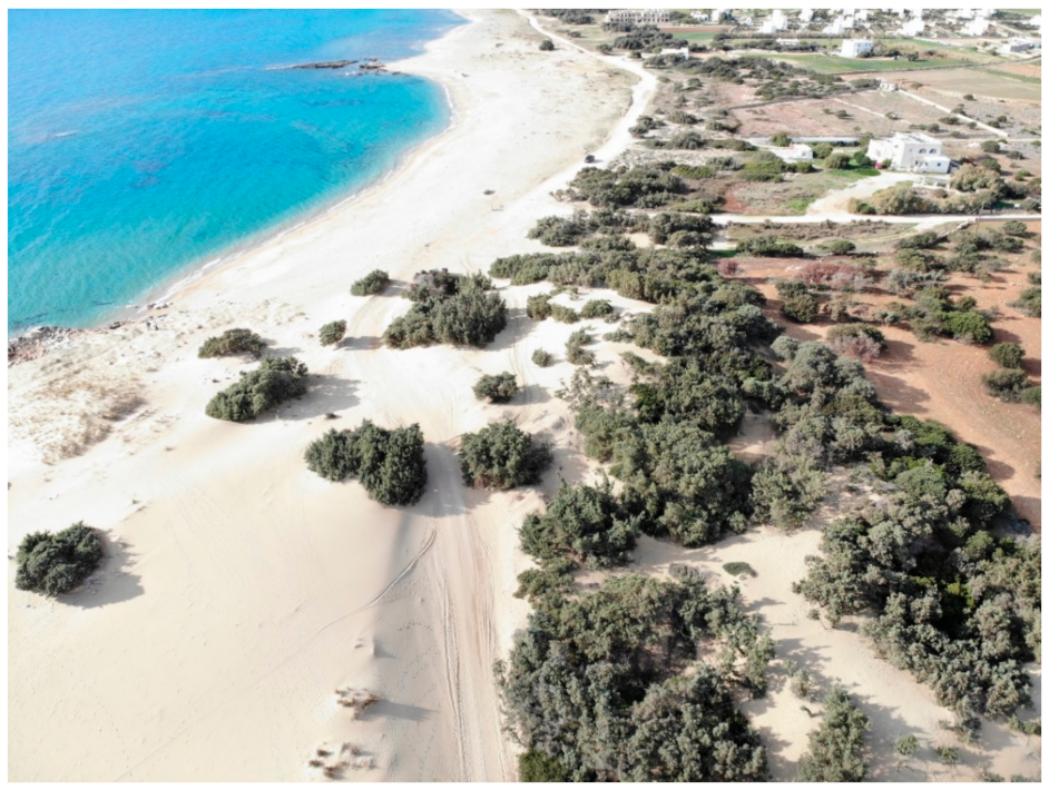 Geosciences 12 00327 g005