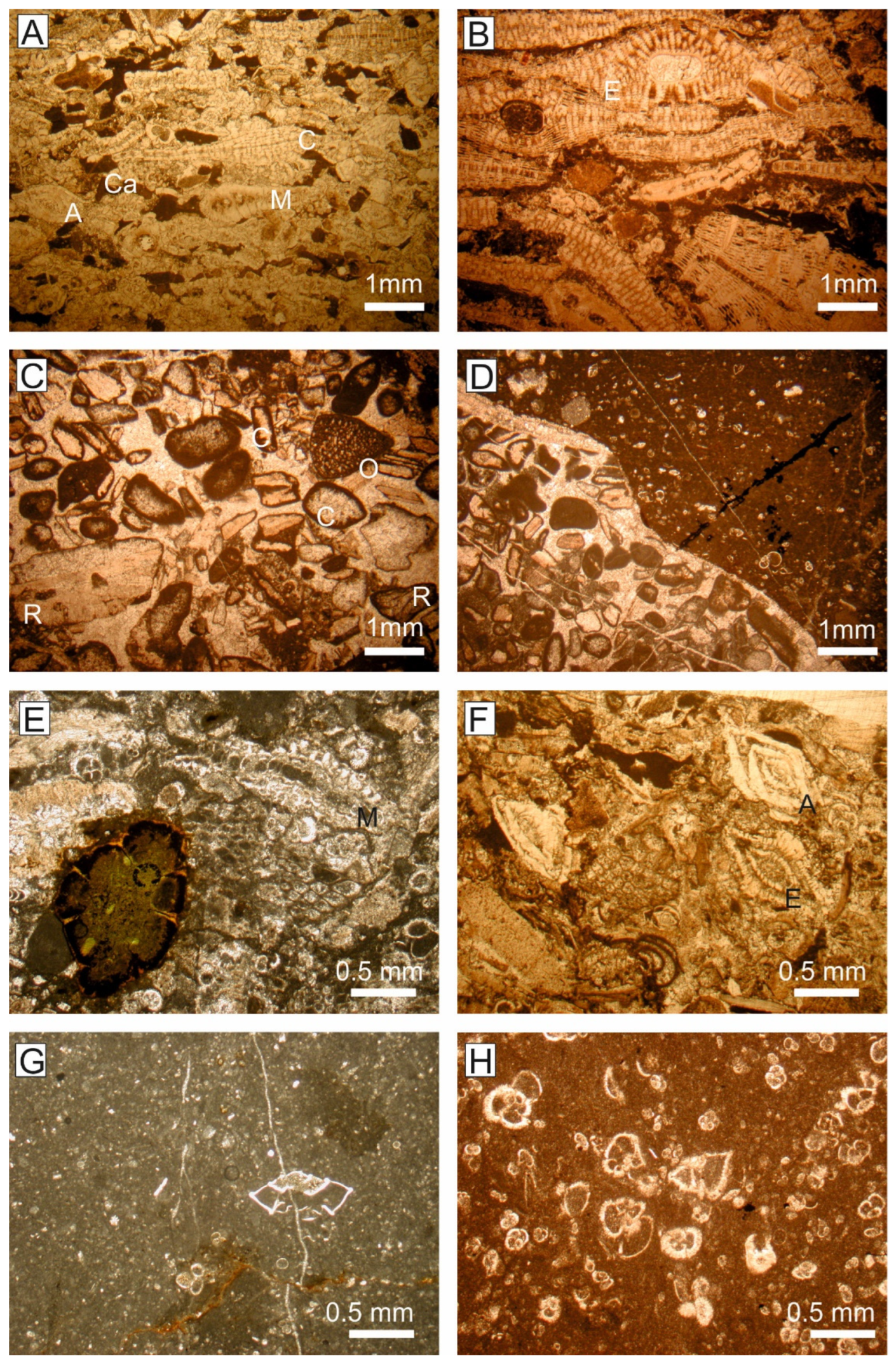 Geosciences 12 00348 g003