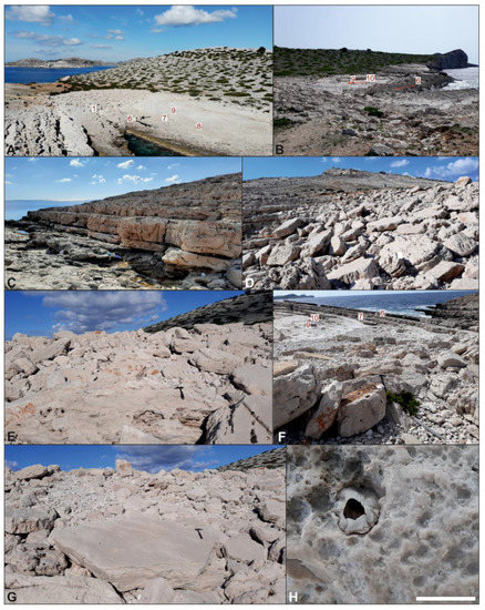 Geosciences 12 00355 g005