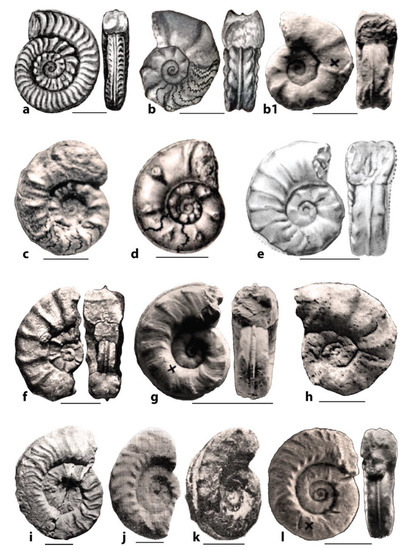 Geosciences 12 00411 g001