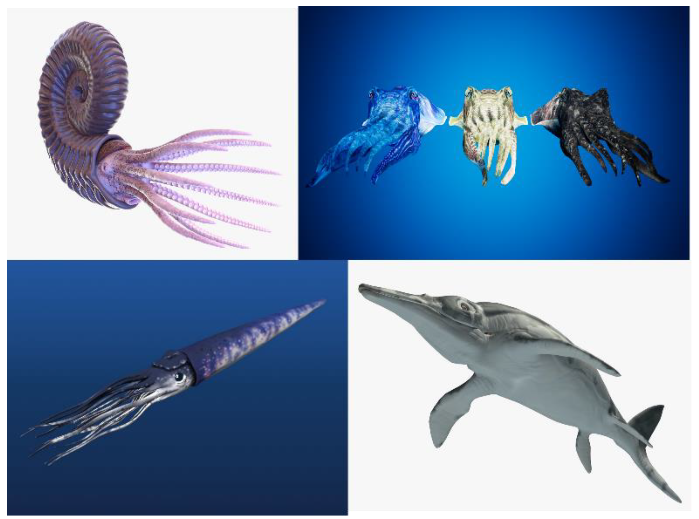 Geosciences 12 00418 g011