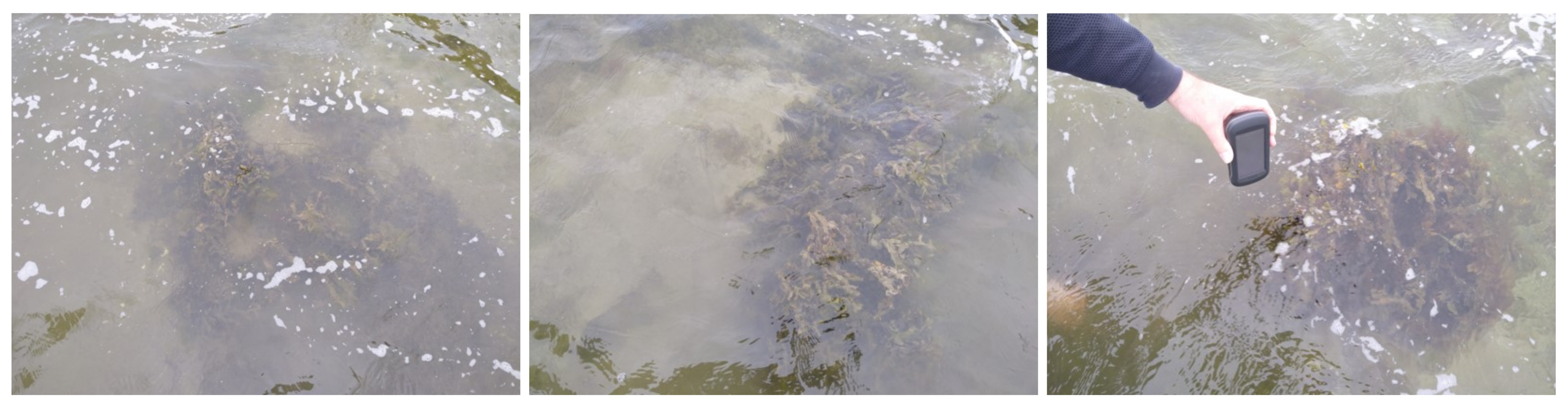 Geosciences 12 00421 g008