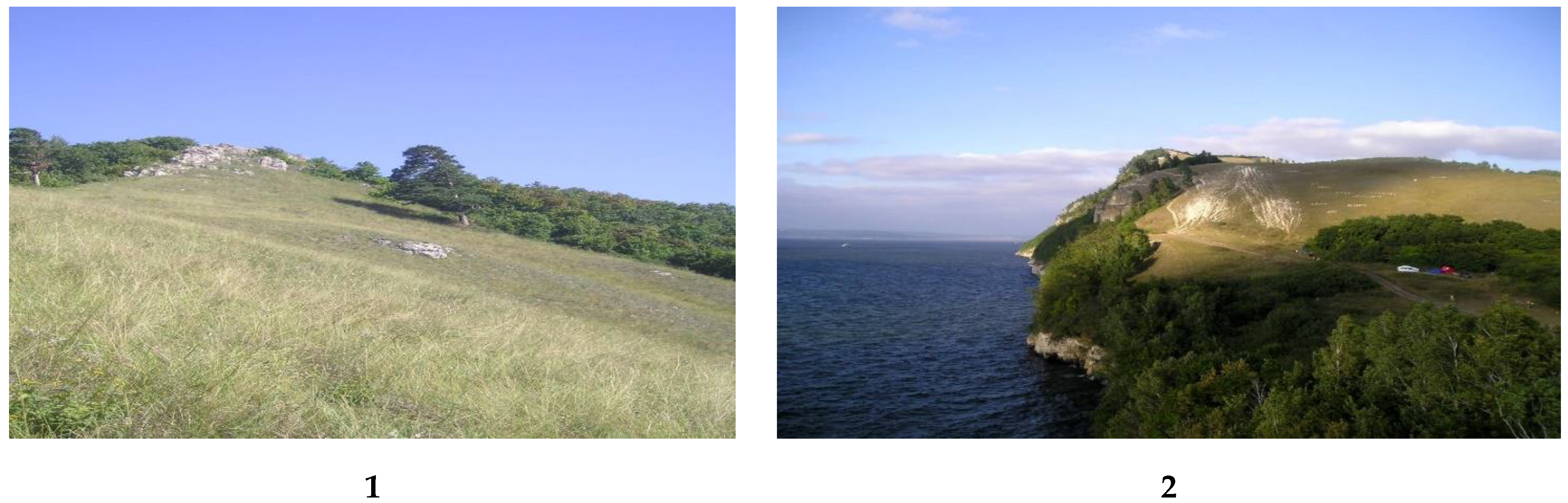 Geosciences 12 00443 g002a Geosciences 12 00443 g002a