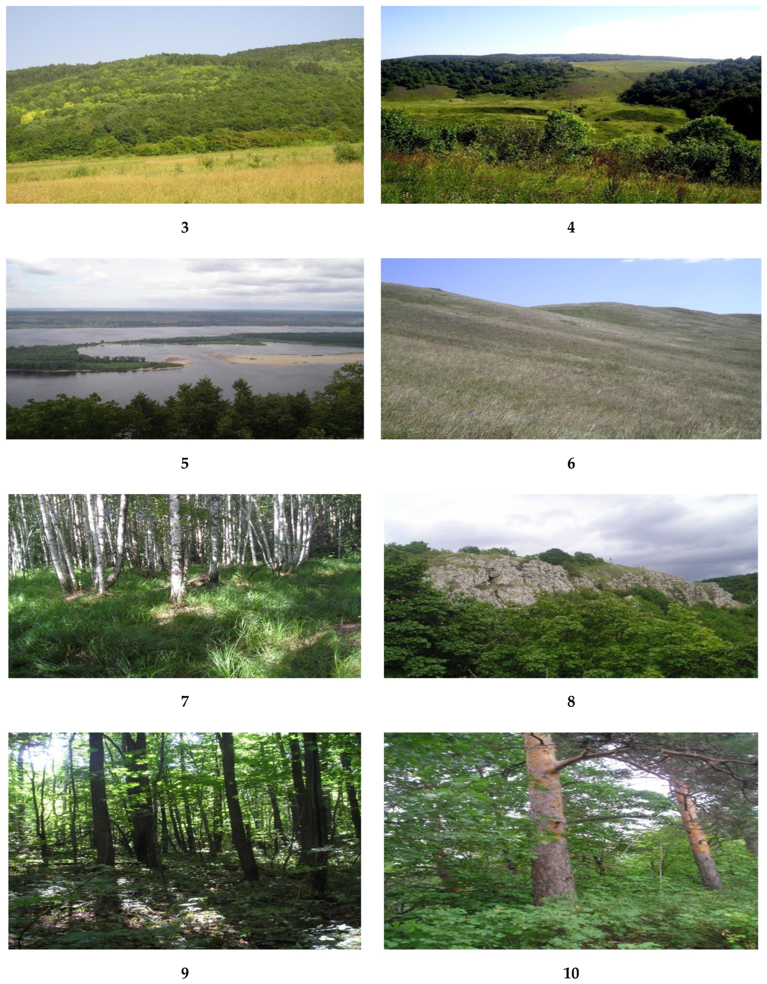 Geosciences 12 00443 g002b Geosciences 12 00443 g002b