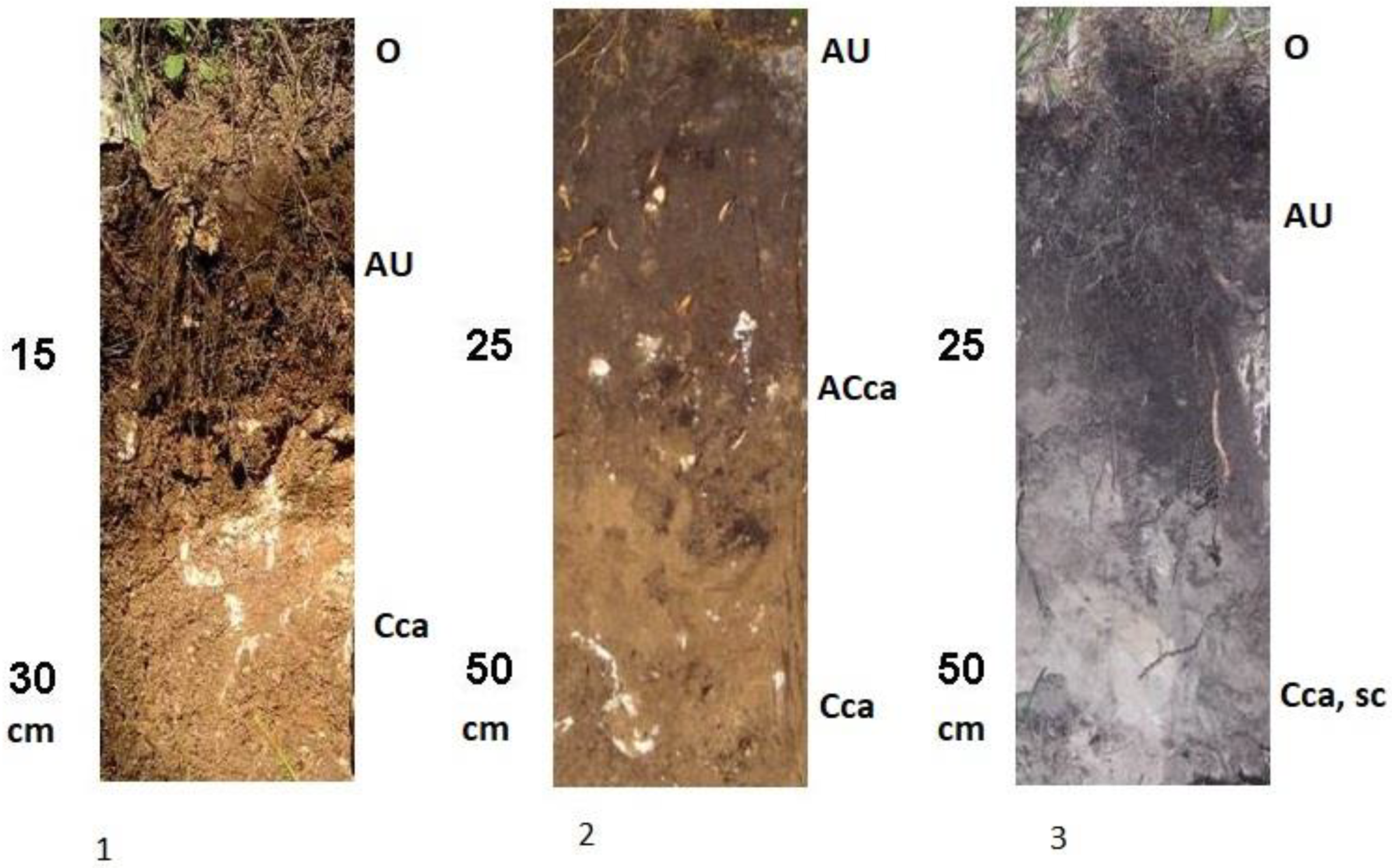 Geosciences 12 00443 g003 Geosciences 12 00443 g003