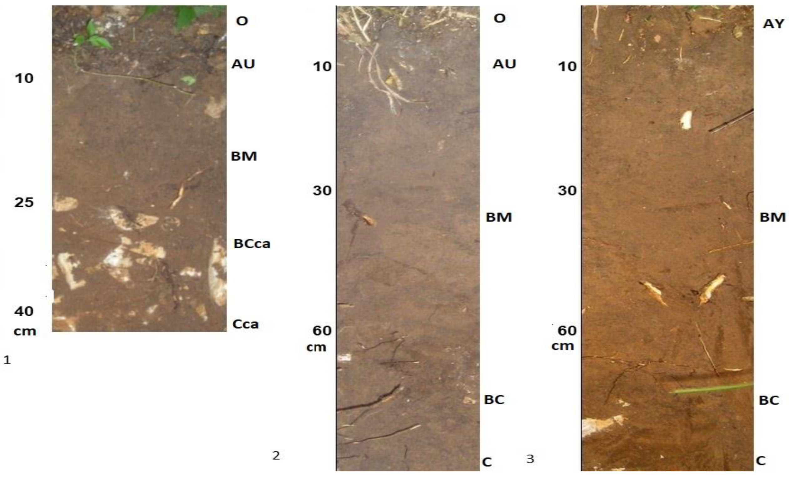 Geosciences 12 00443 g004 Geosciences 12 00443 g004