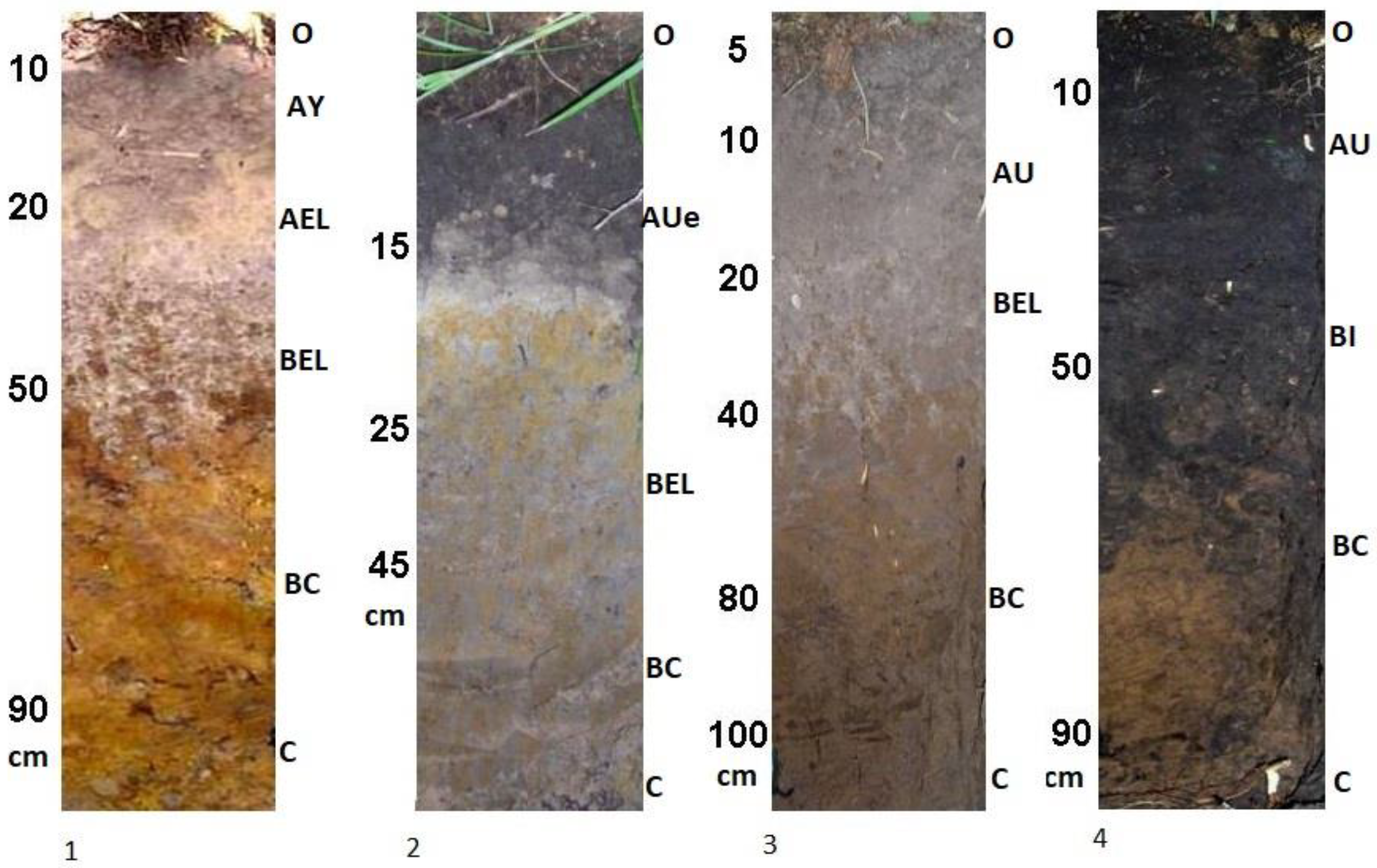 Geosciences 12 00443 g005 Geosciences 12 00443 g005