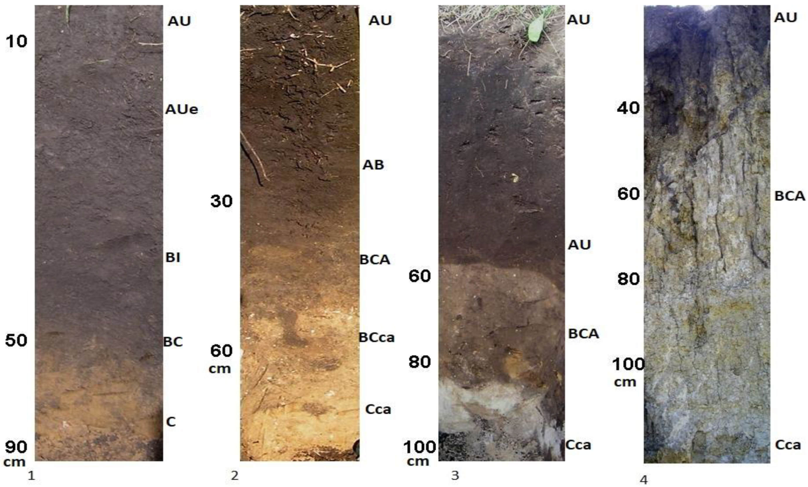 Geosciences 12 00443 g006 Geosciences 12 00443 g006