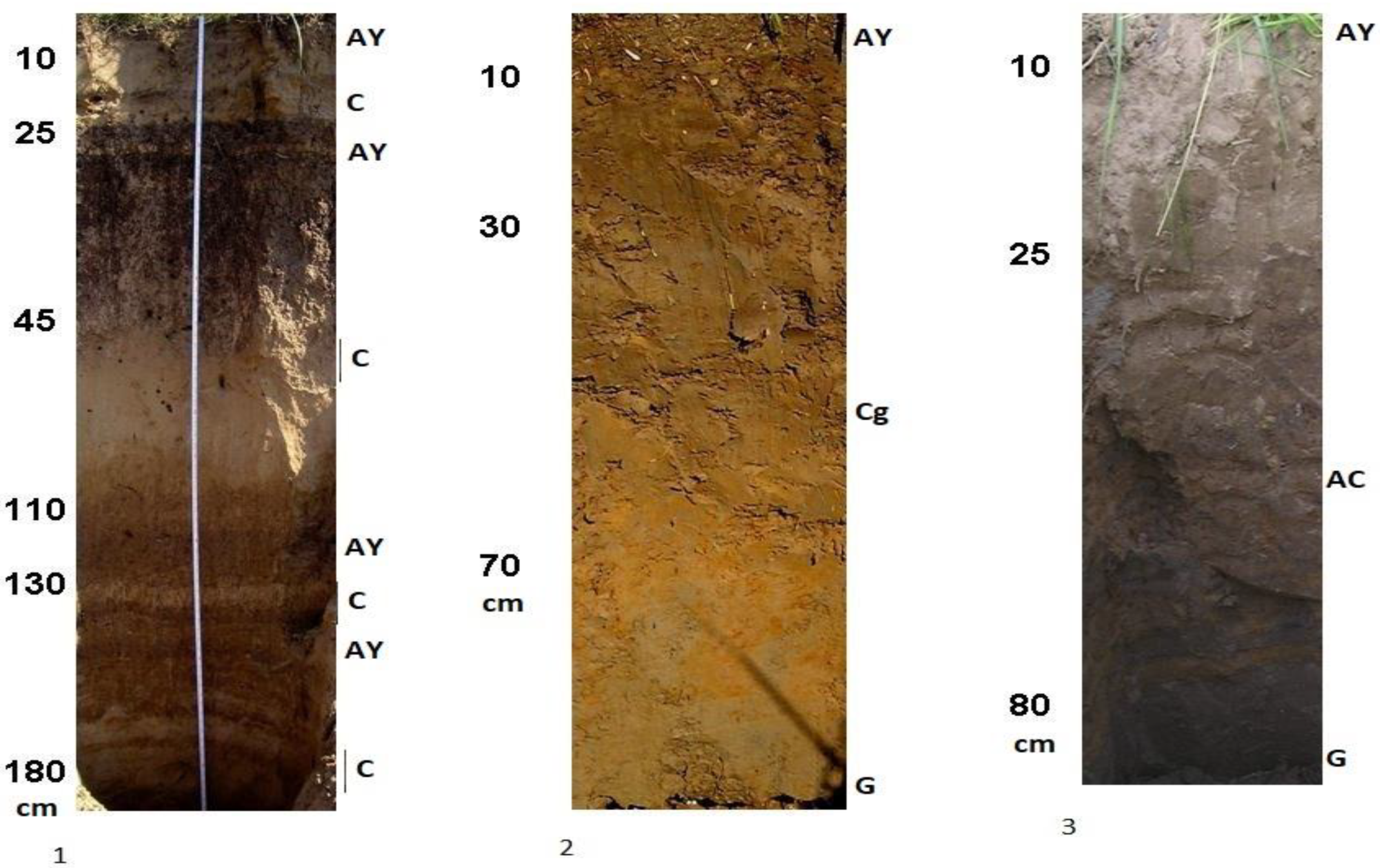 Geosciences 12 00443 g007 Geosciences 12 00443 g007
