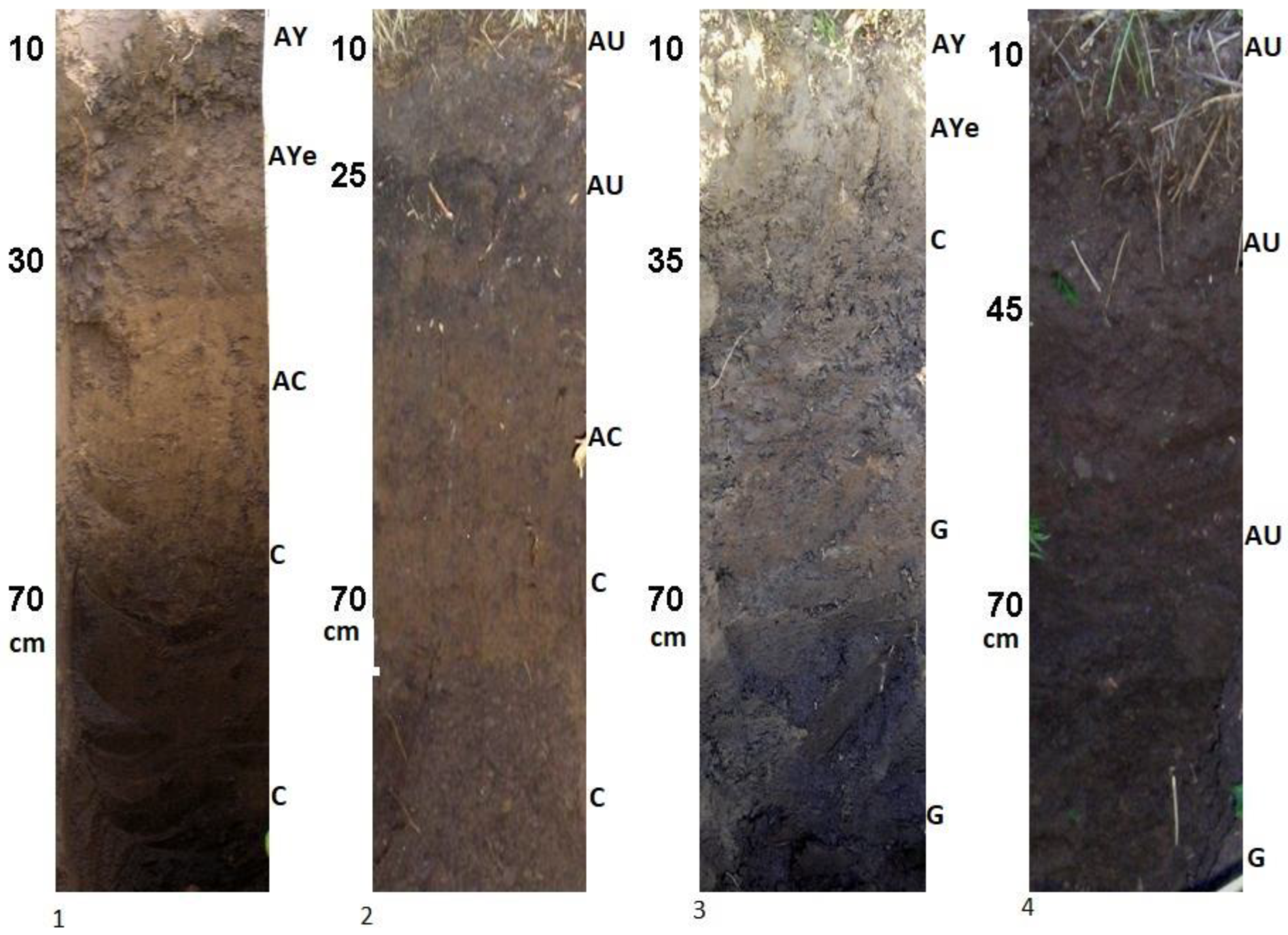 Geosciences 12 00443 g008 Geosciences 12 00443 g008