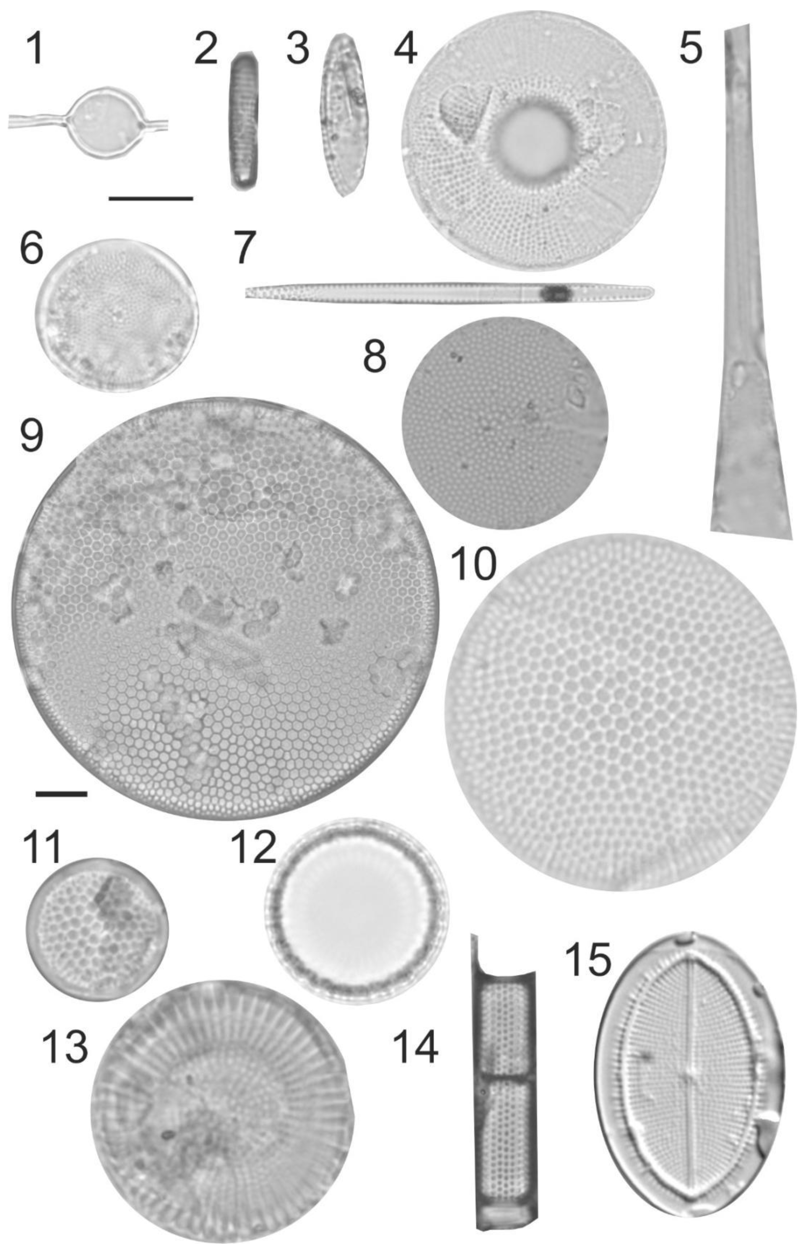 Geosciences 13 00001 g005