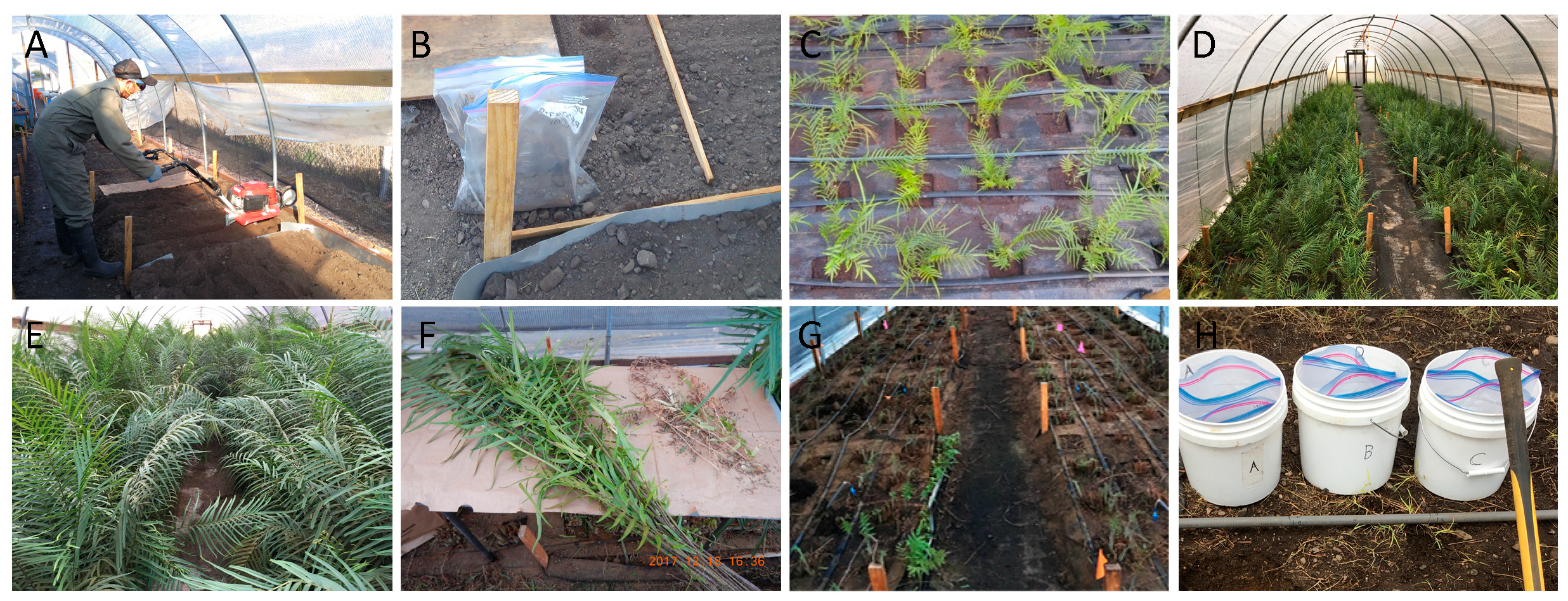 Geosciences 13 00008 g001