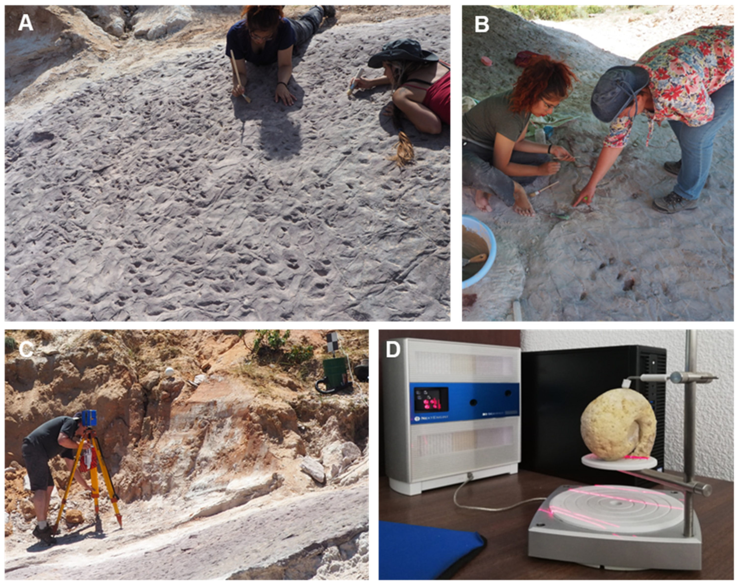 Geosciences 13 00016 g002