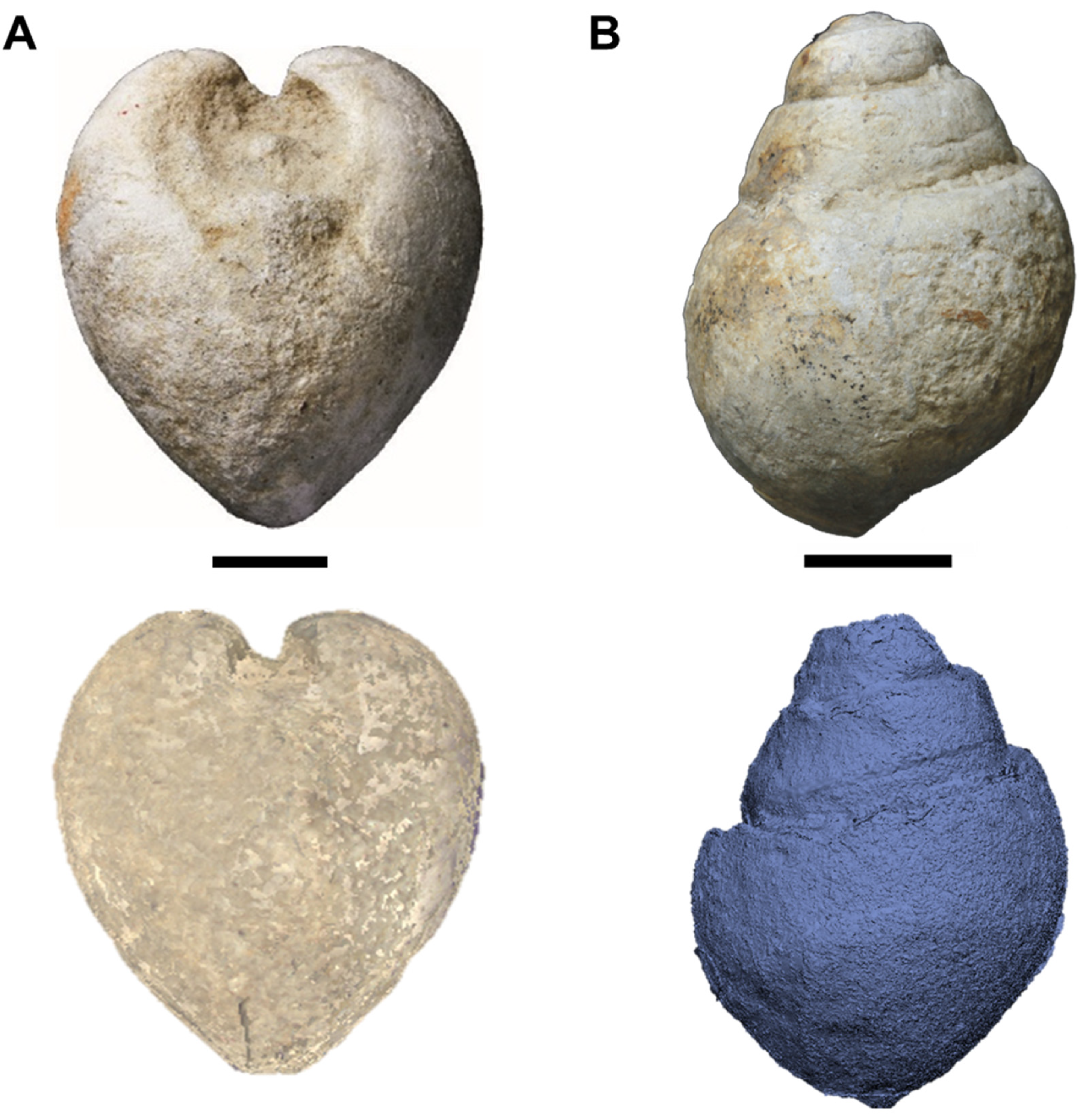 Geosciences 13 00016 g006