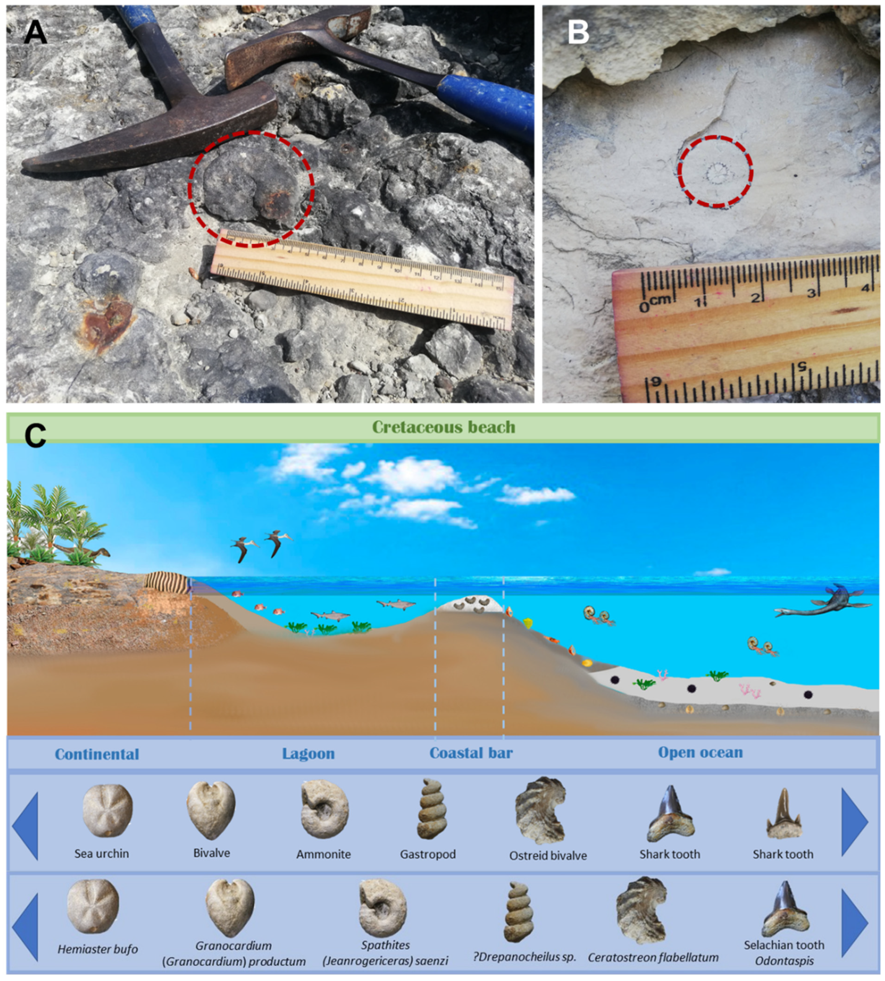 Geosciences 13 00016 g007