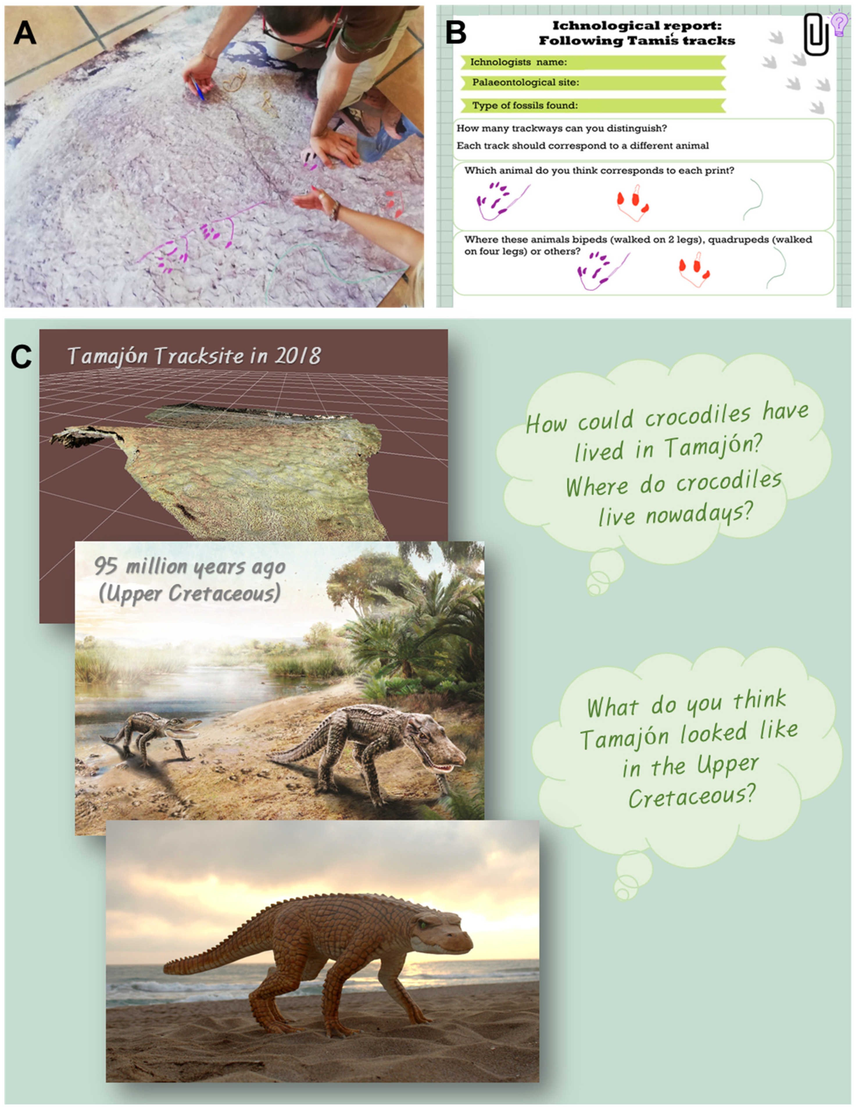 Geosciences 13 00016 g008