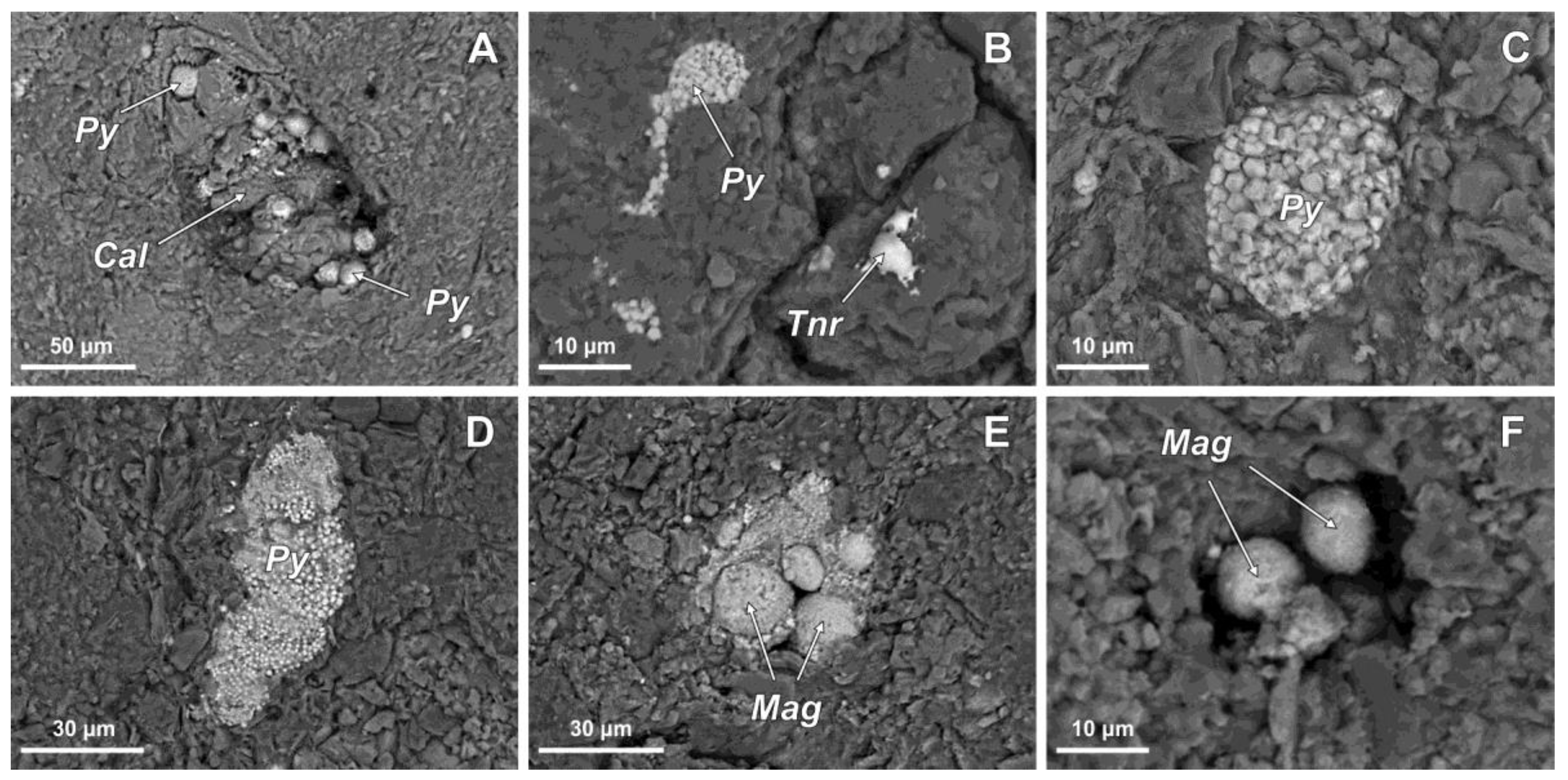 Geosciences 13 00031 g003