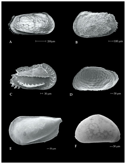 Geosciences 13 00035 g0a1