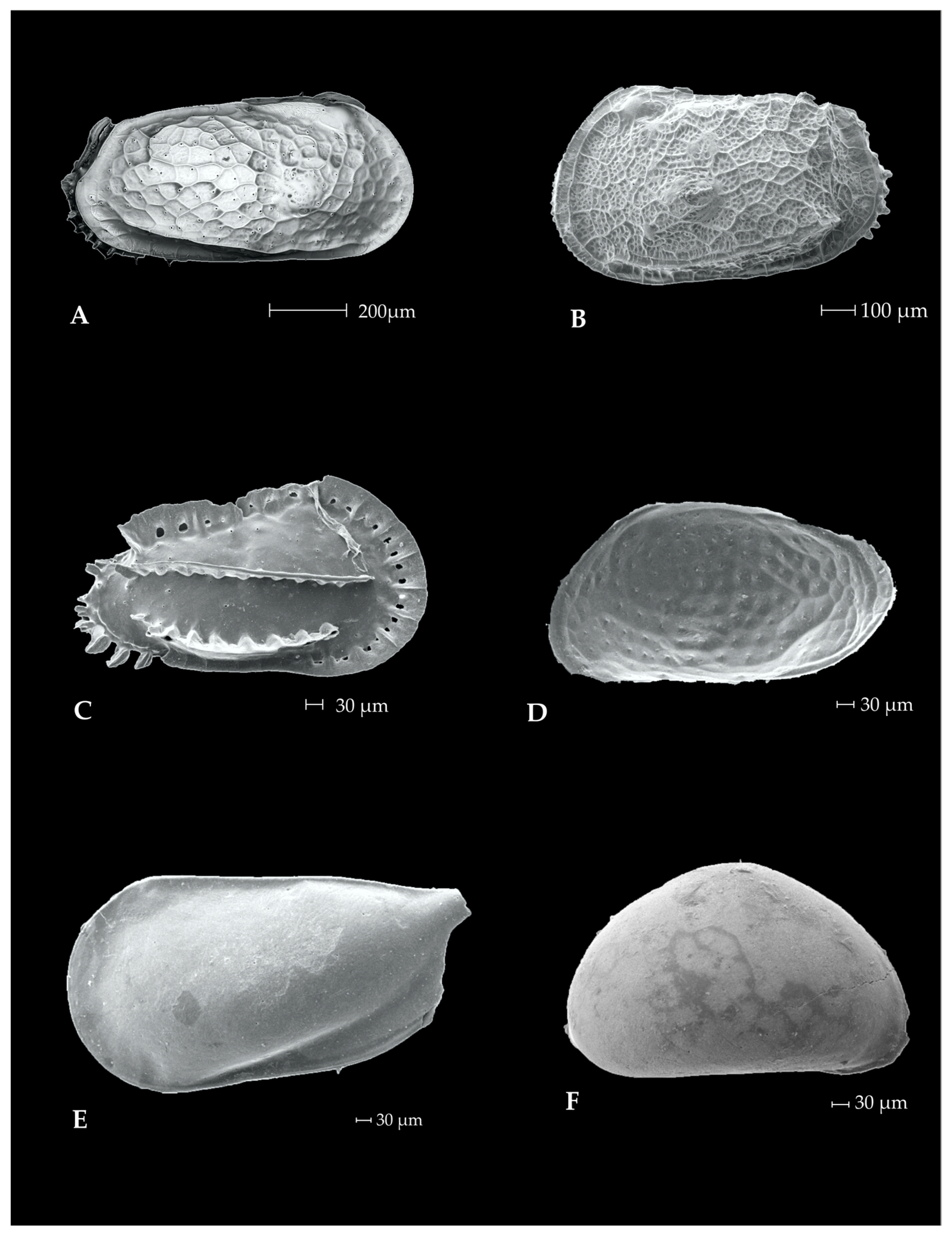 Geosciences 13 00035 g0a1