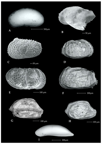 Geosciences 13 00035 g0a2