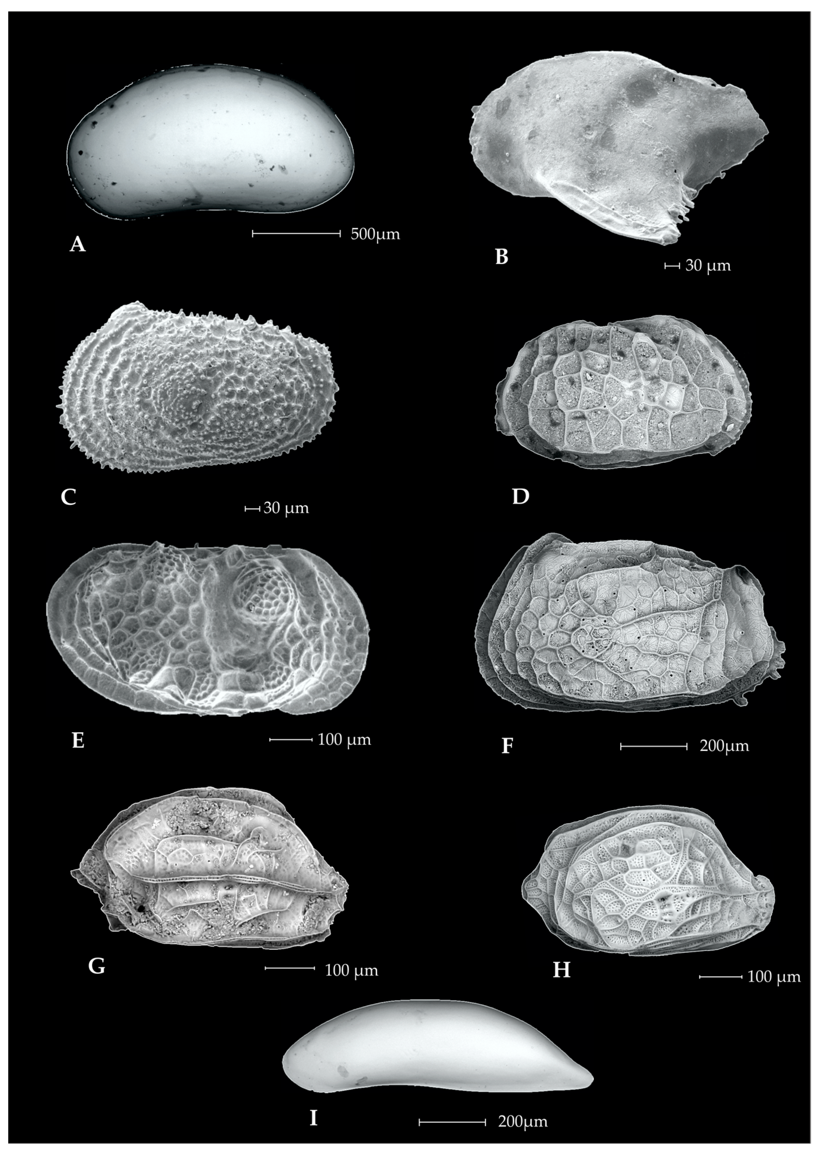 Geosciences 13 00035 g0a2