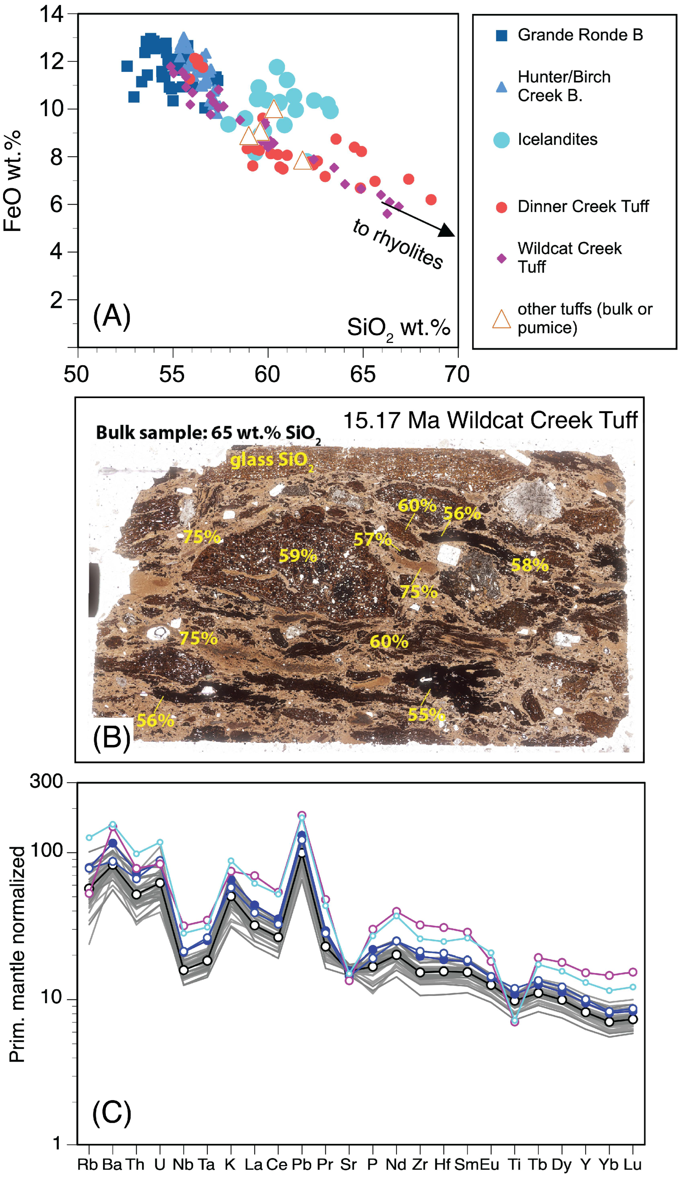 Geosciences 13 00046 g009