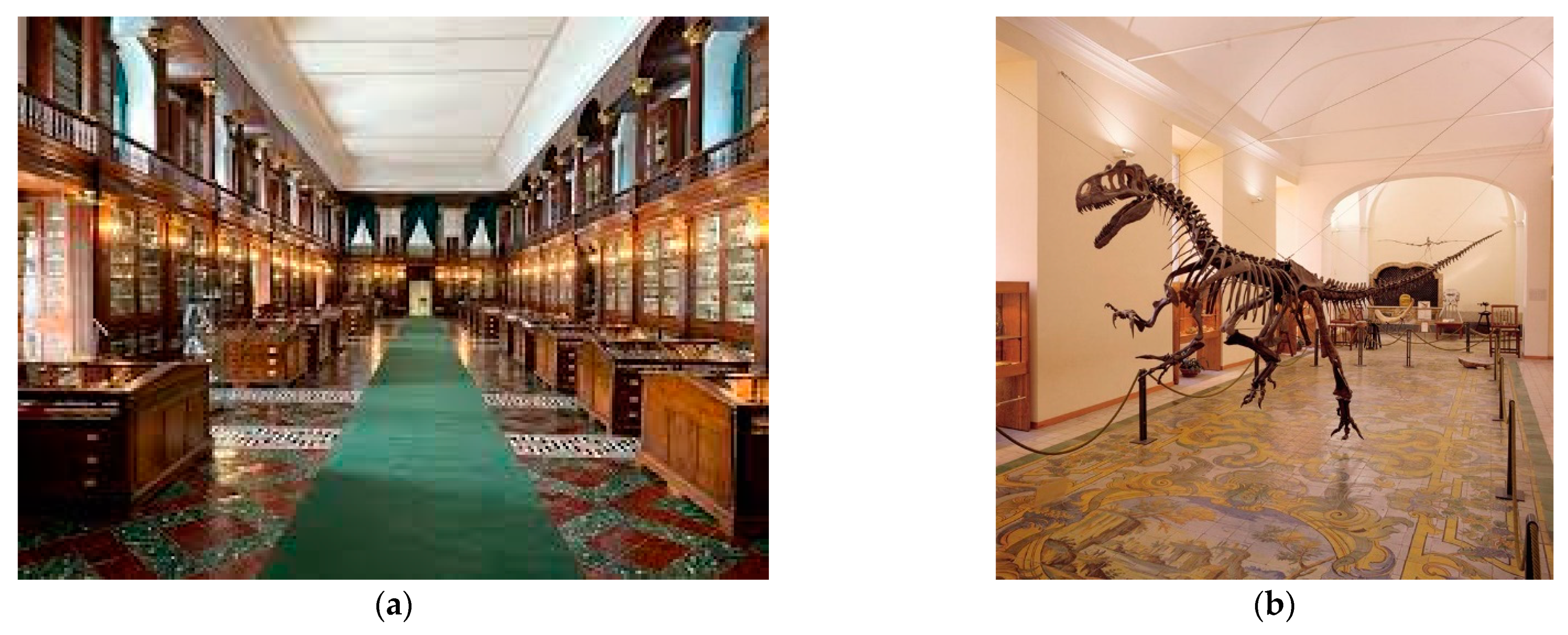 Geosciences 13 00050 g010