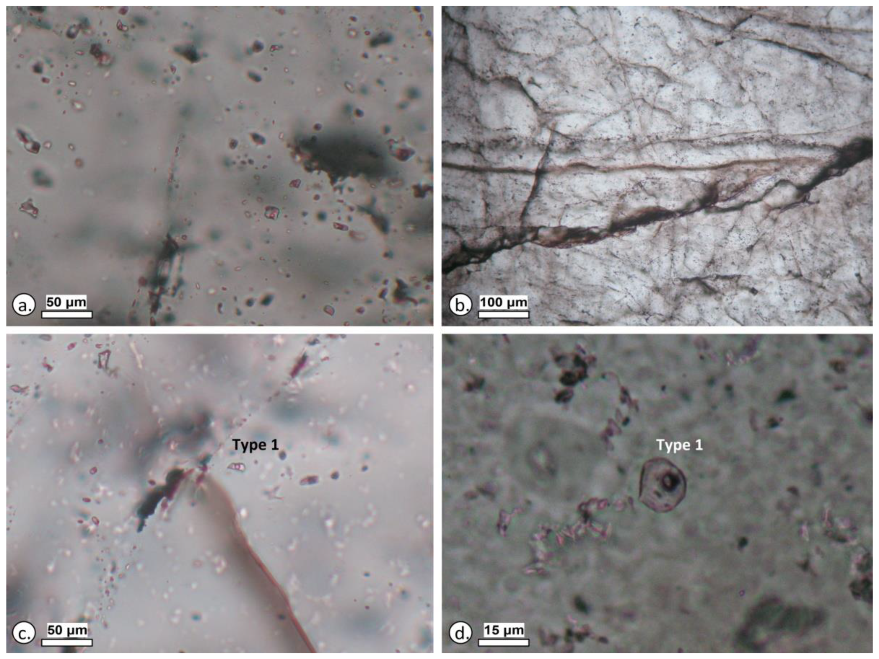 Geosciences 13 00061 g013