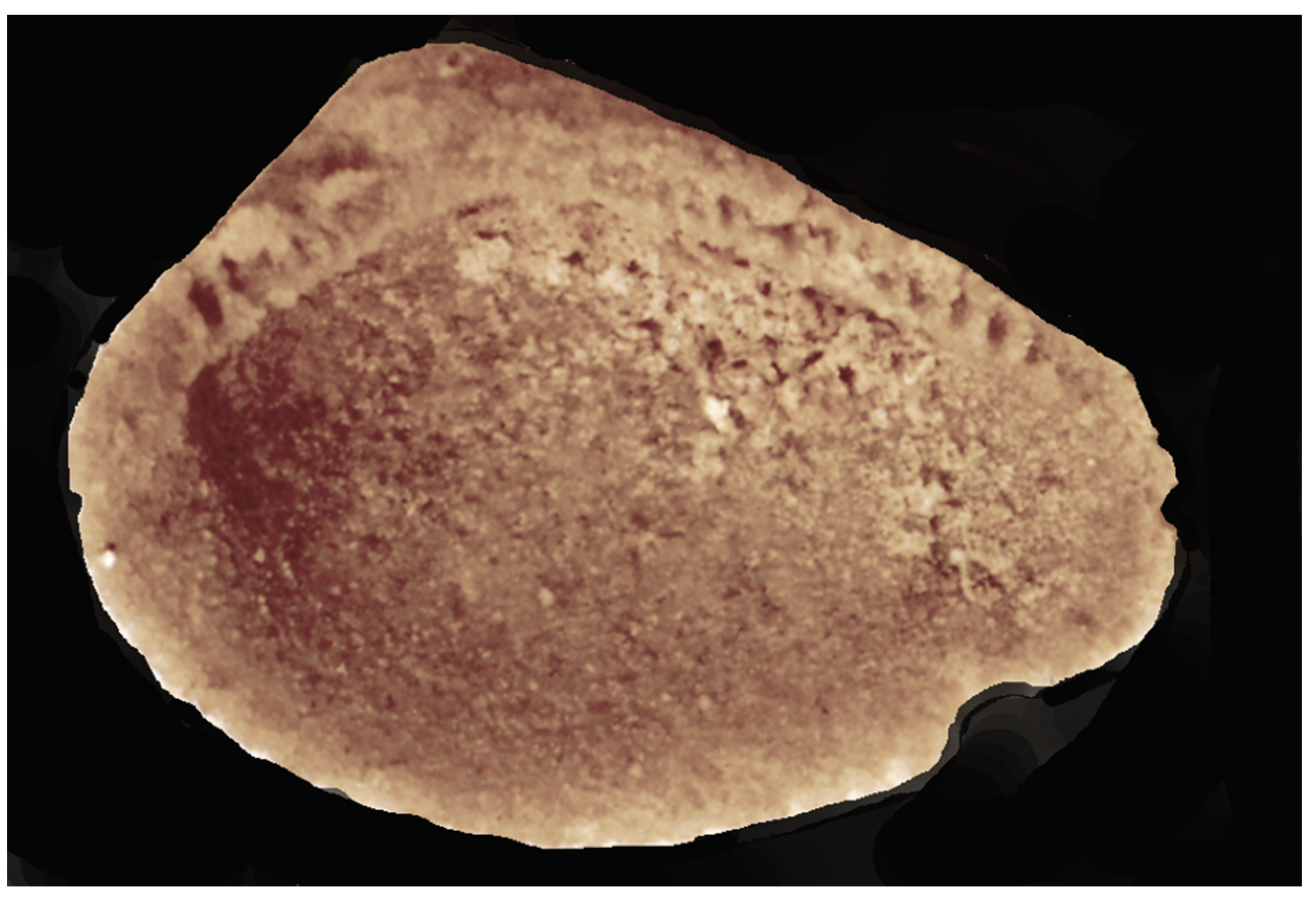 Geosciences 13 00080 g004